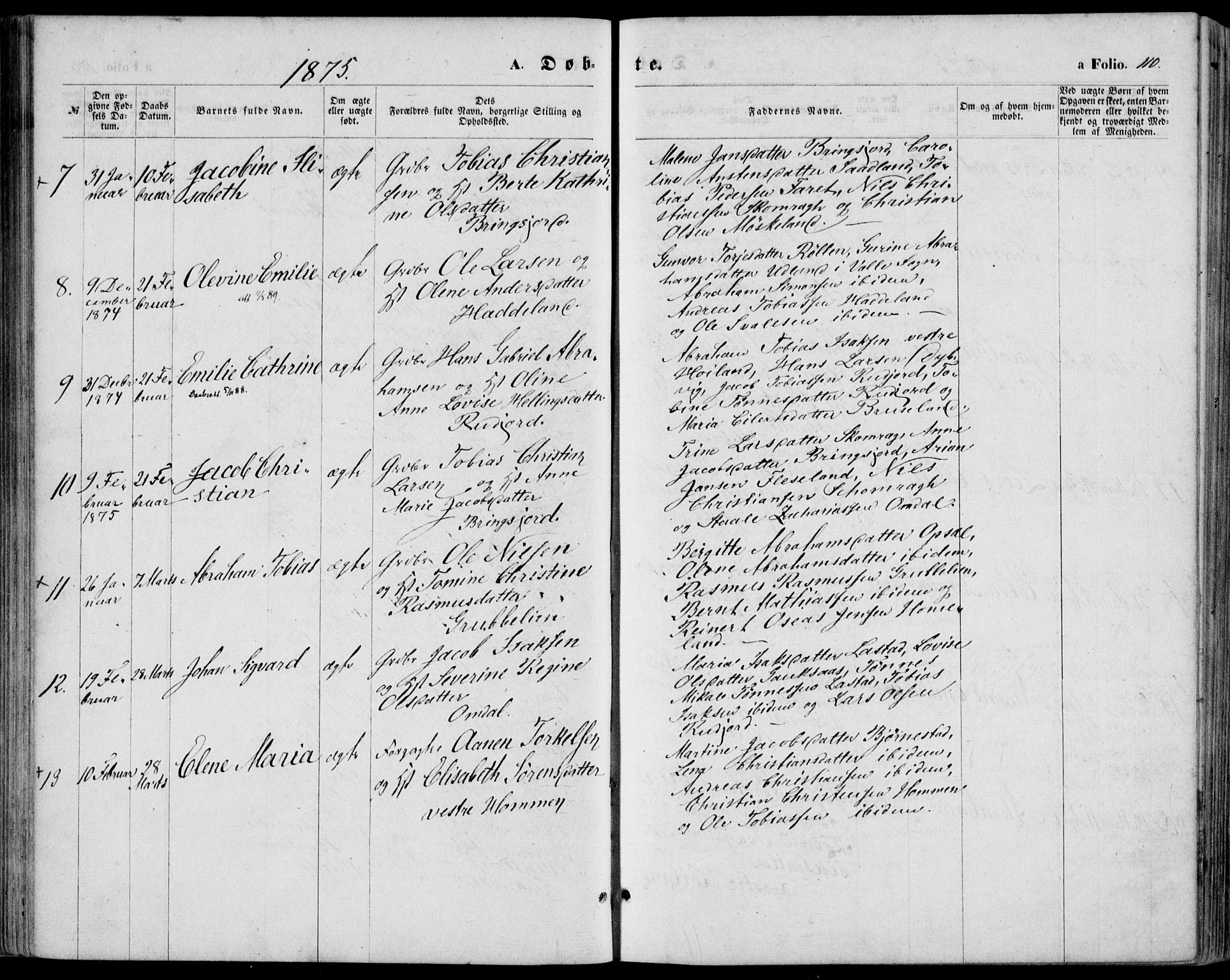 Lyngdal sokneprestkontor, SAK/1111-0029/F/Fa/Fac/L0010: Parish register (official) no. A 10, 1865-1878, p. 110