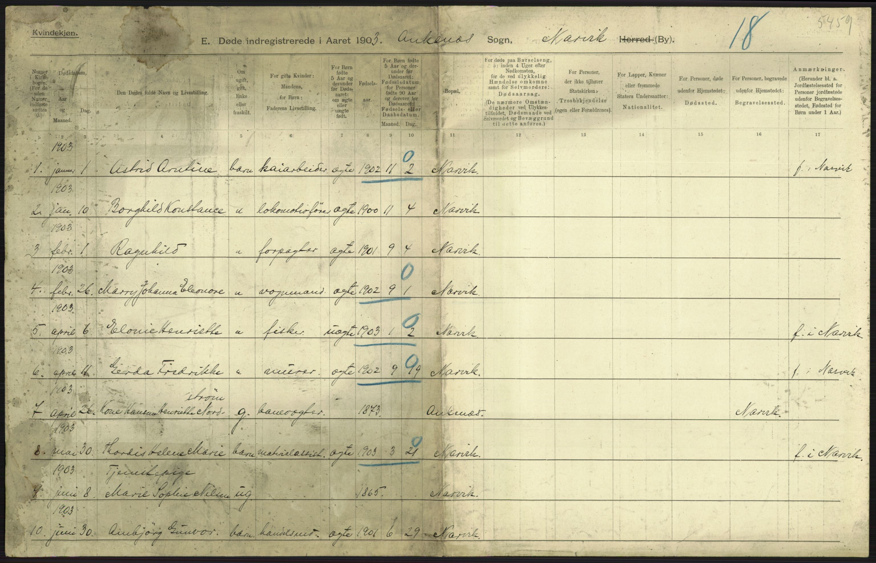 Statistisk sentralbyrå, Sosiodemografiske emner, Befolkning, AV/RA-S-2228/D/Df/Dfa/Dfaa/L0019: Nordlands amt: Fødte, gifte, døde., 1903, p. 539