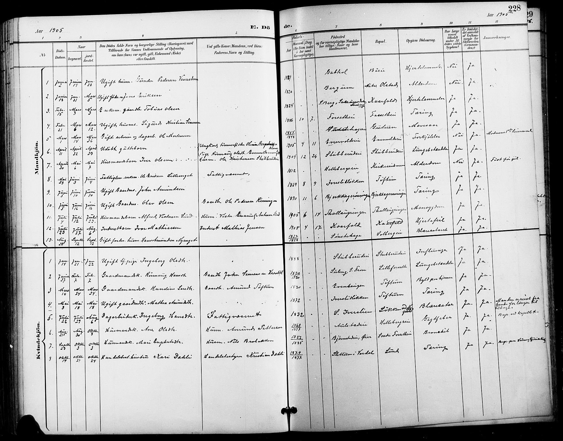 Vestre Gausdal prestekontor, SAH/PREST-094/H/Ha/Hab/L0003: Parish register (copy) no. 3, 1896-1925, p. 228