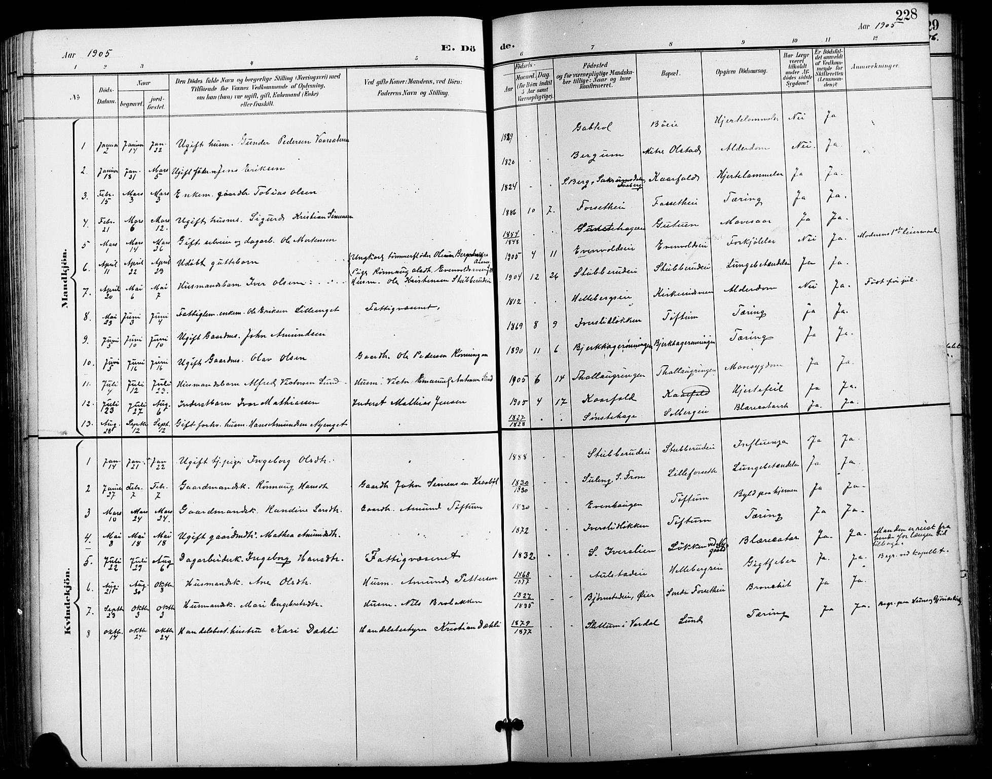 Vestre Gausdal prestekontor, AV/SAH-PREST-094/H/Ha/Hab/L0003: Parish register (copy) no. 3, 1896-1925, p. 228