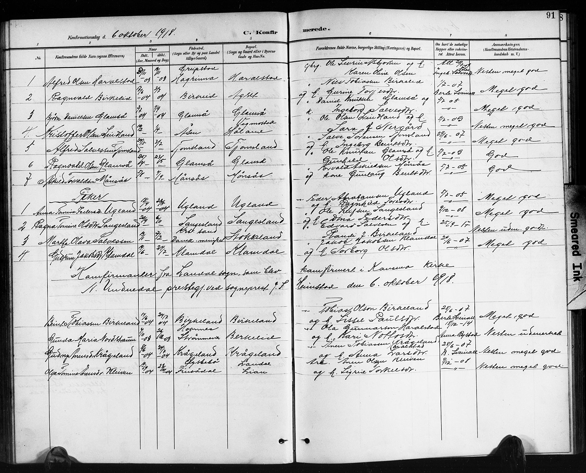 Holum sokneprestkontor, AV/SAK-1111-0022/F/Fb/Fbb/L0004: Parish register (copy) no. B 4, 1899-1920, p. 91