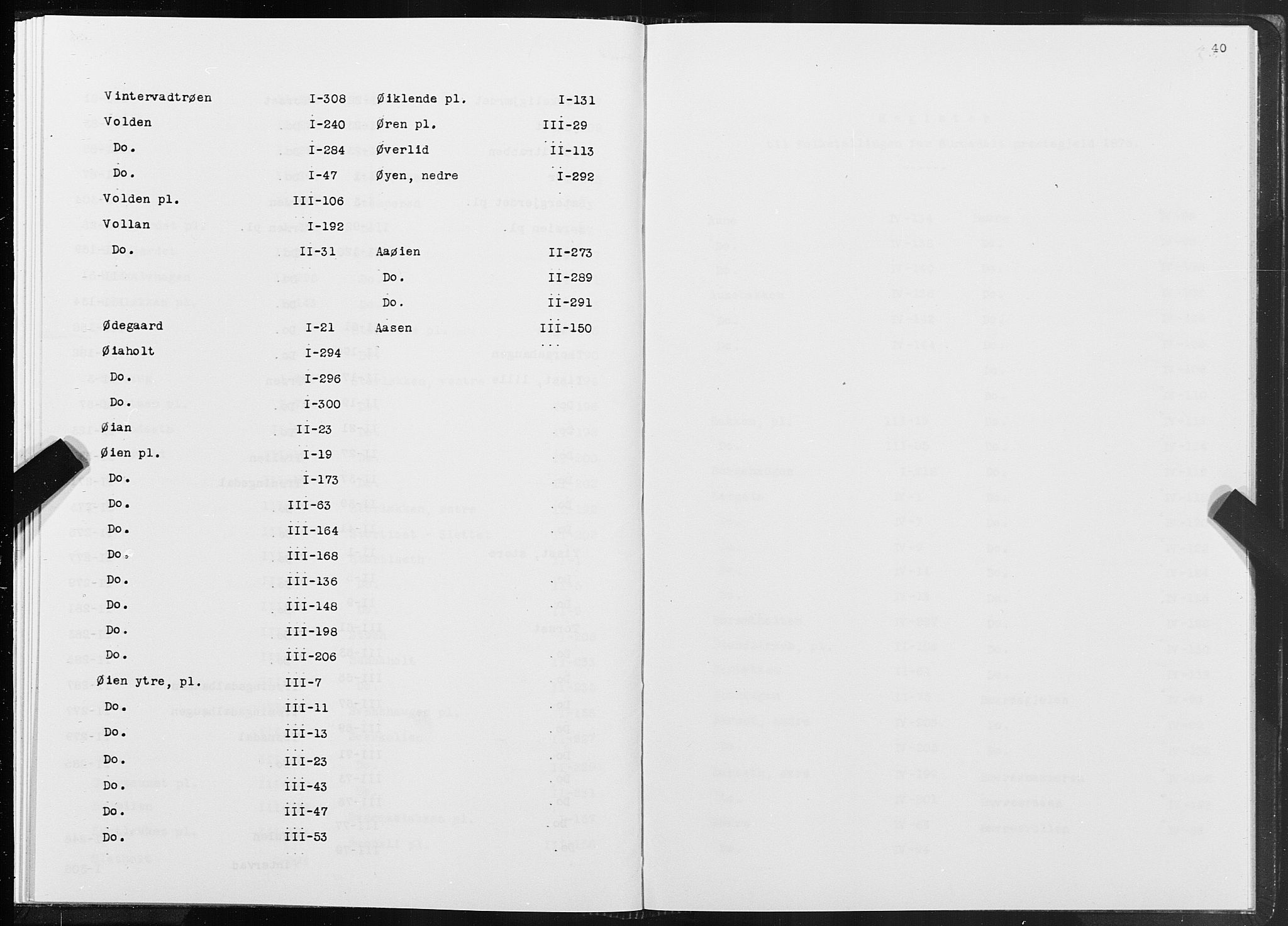 SAT, 1875 census for 1567P Rindal, 1875, p. 40