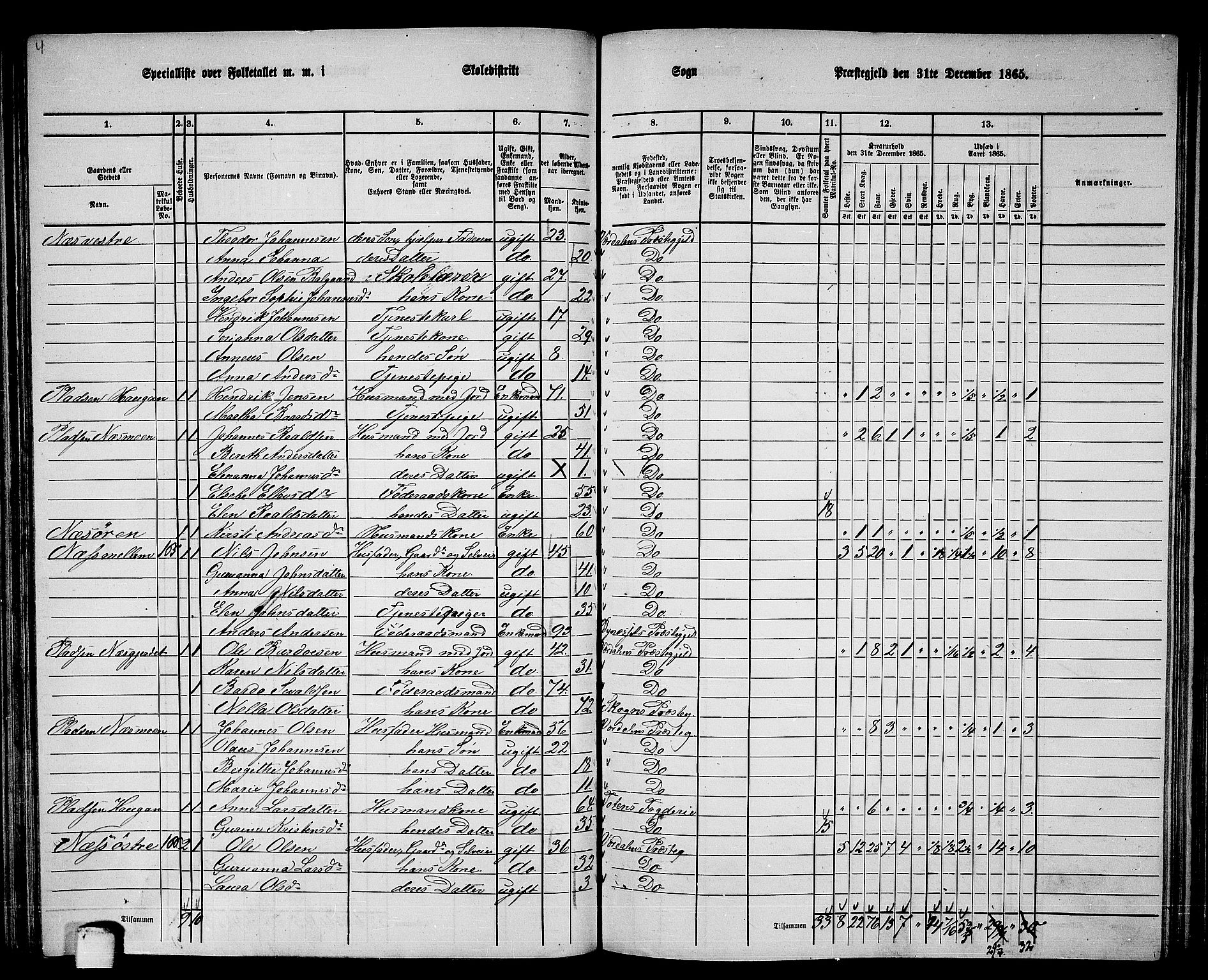 RA, 1865 census for Verdal, 1865, p. 117