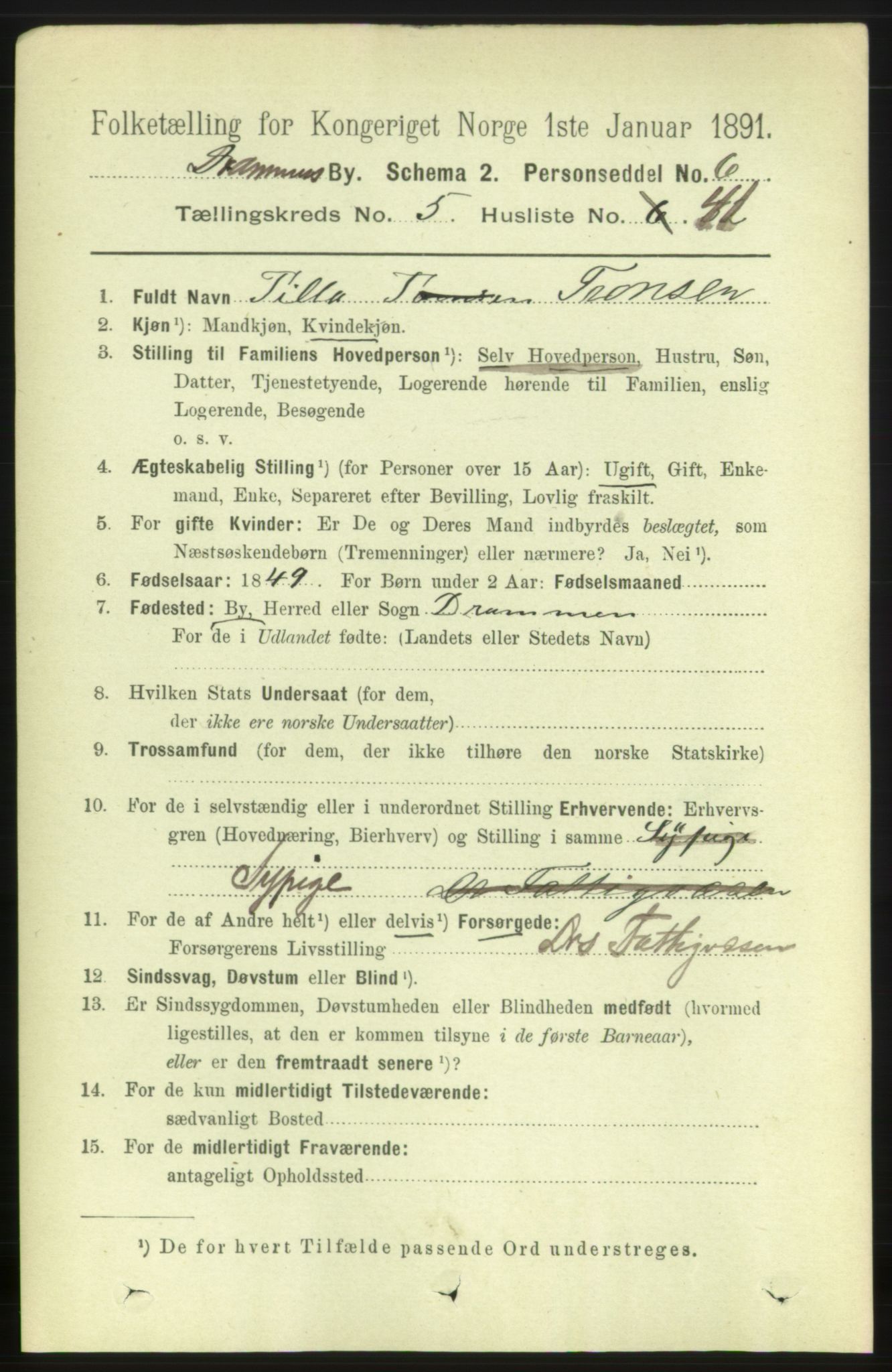 RA, 1891 census for 0602 Drammen, 1891, p. 6084