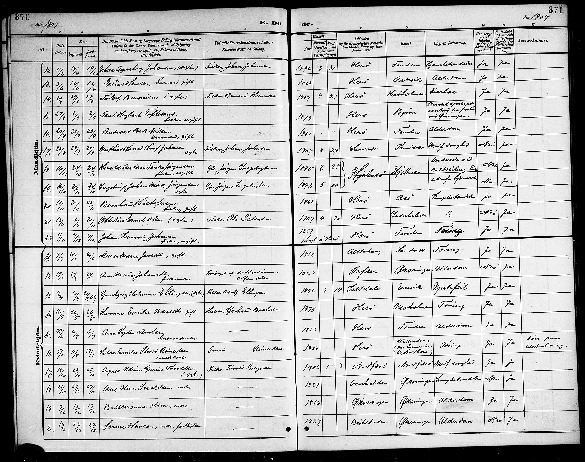 Ministerialprotokoller, klokkerbøker og fødselsregistre - Nordland, AV/SAT-A-1459/834/L0516: Parish register (copy) no. 834C06, 1902-1918, p. 370-371