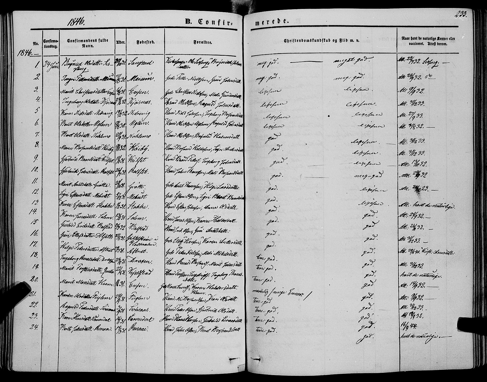 Ministerialprotokoller, klokkerbøker og fødselsregistre - Sør-Trøndelag, AV/SAT-A-1456/695/L1145: Parish register (official) no. 695A06 /1, 1843-1859, p. 233