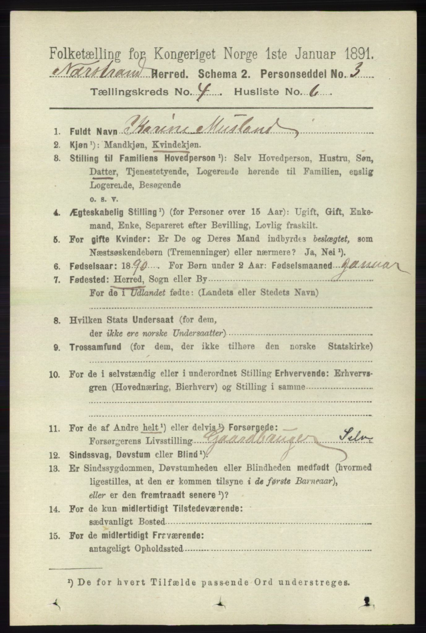 RA, 1891 census for 1139 Nedstrand, 1891, p. 676