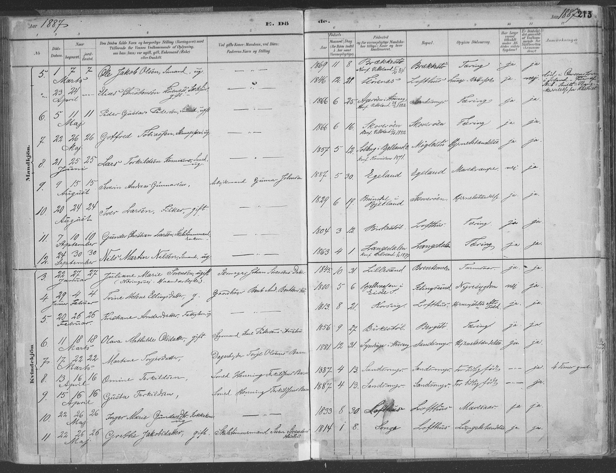 Vestre Moland sokneprestkontor, AV/SAK-1111-0046/F/Fa/Fab/L0009: Parish register (official) no. A 9, 1884-1899, p. 213