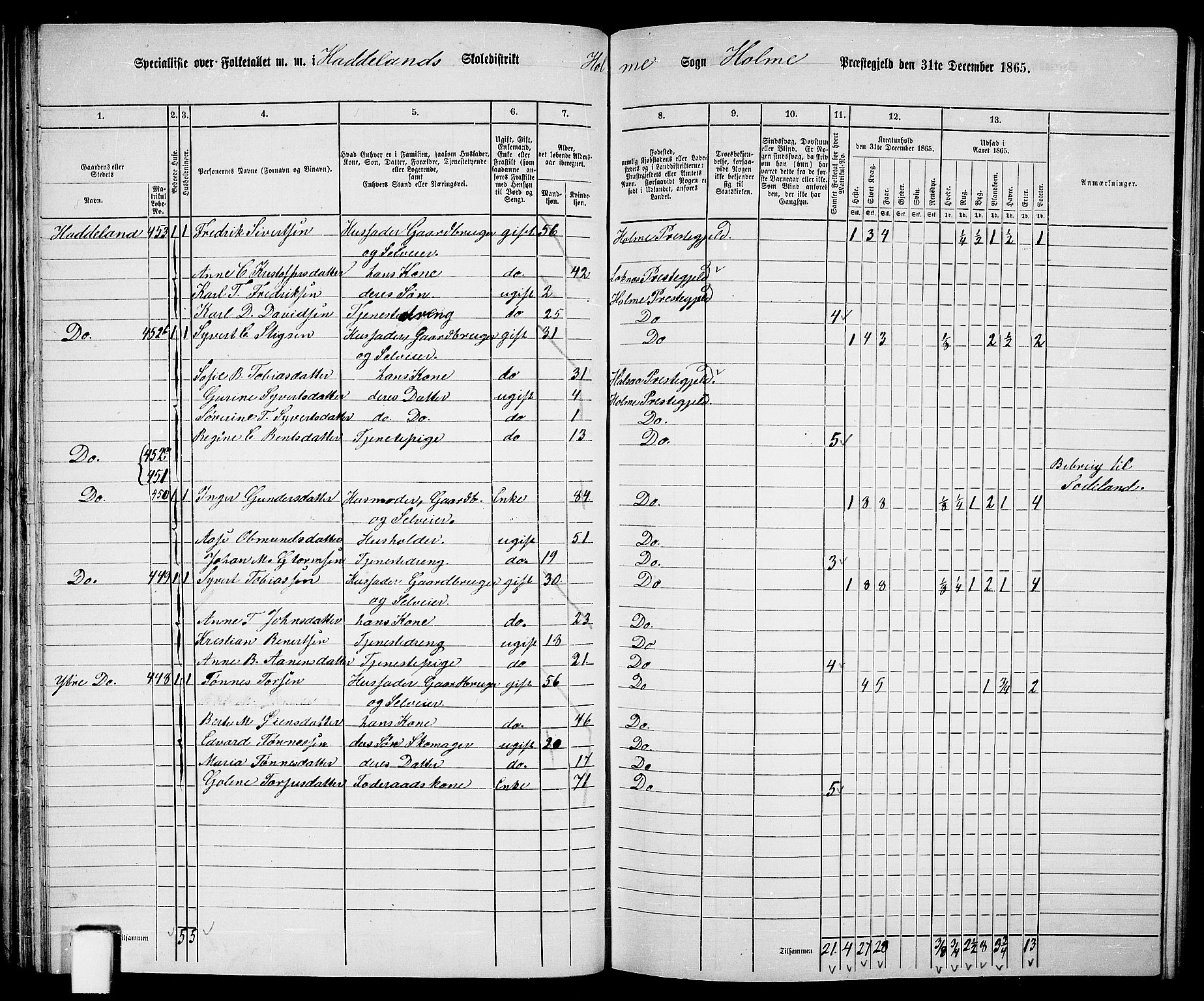 RA, 1865 census for Holum, 1865, p. 47