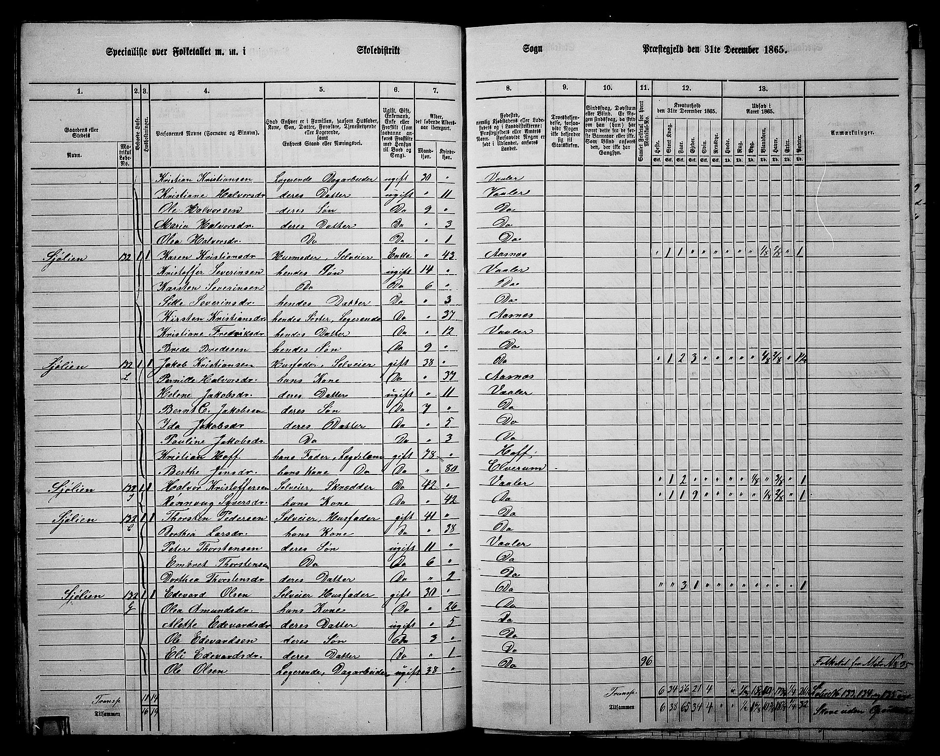 RA, 1865 census for Våler, 1865, p. 81