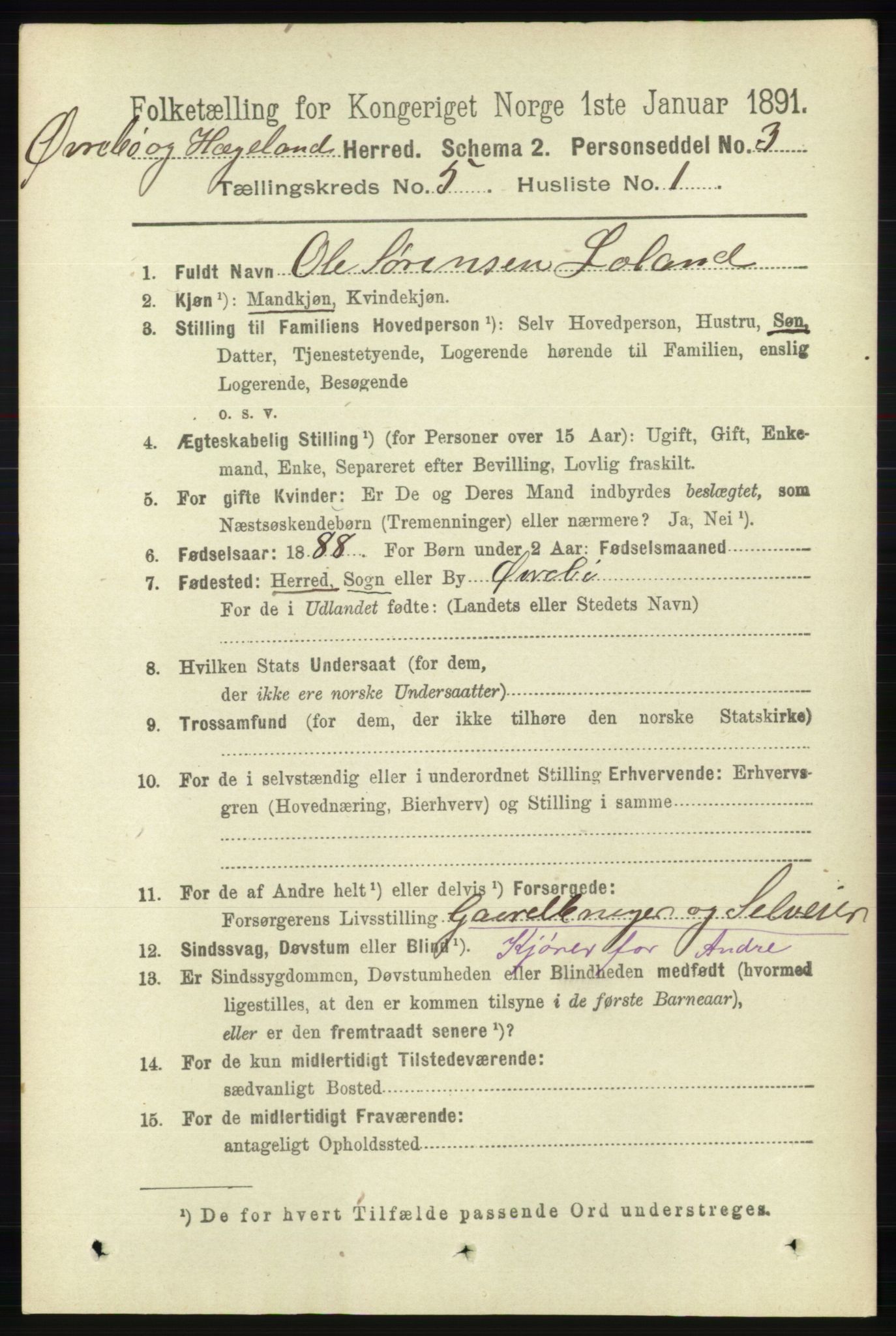 RA, 1891 census for 1016 Øvrebø og Hægeland, 1891, p. 944