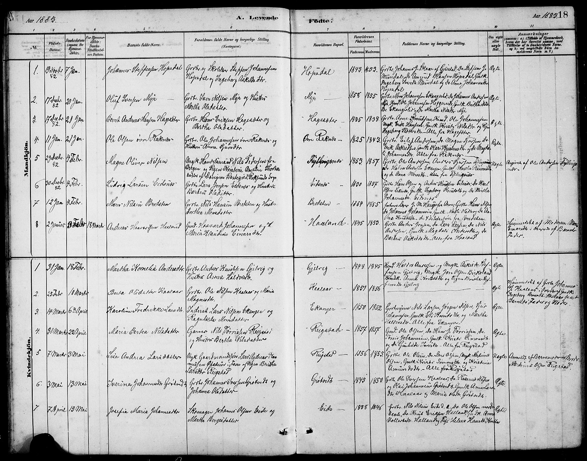 Hamre sokneprestembete, AV/SAB-A-75501/H/Ha/Hab: Parish register (copy) no. B 3, 1881-1898, p. 18