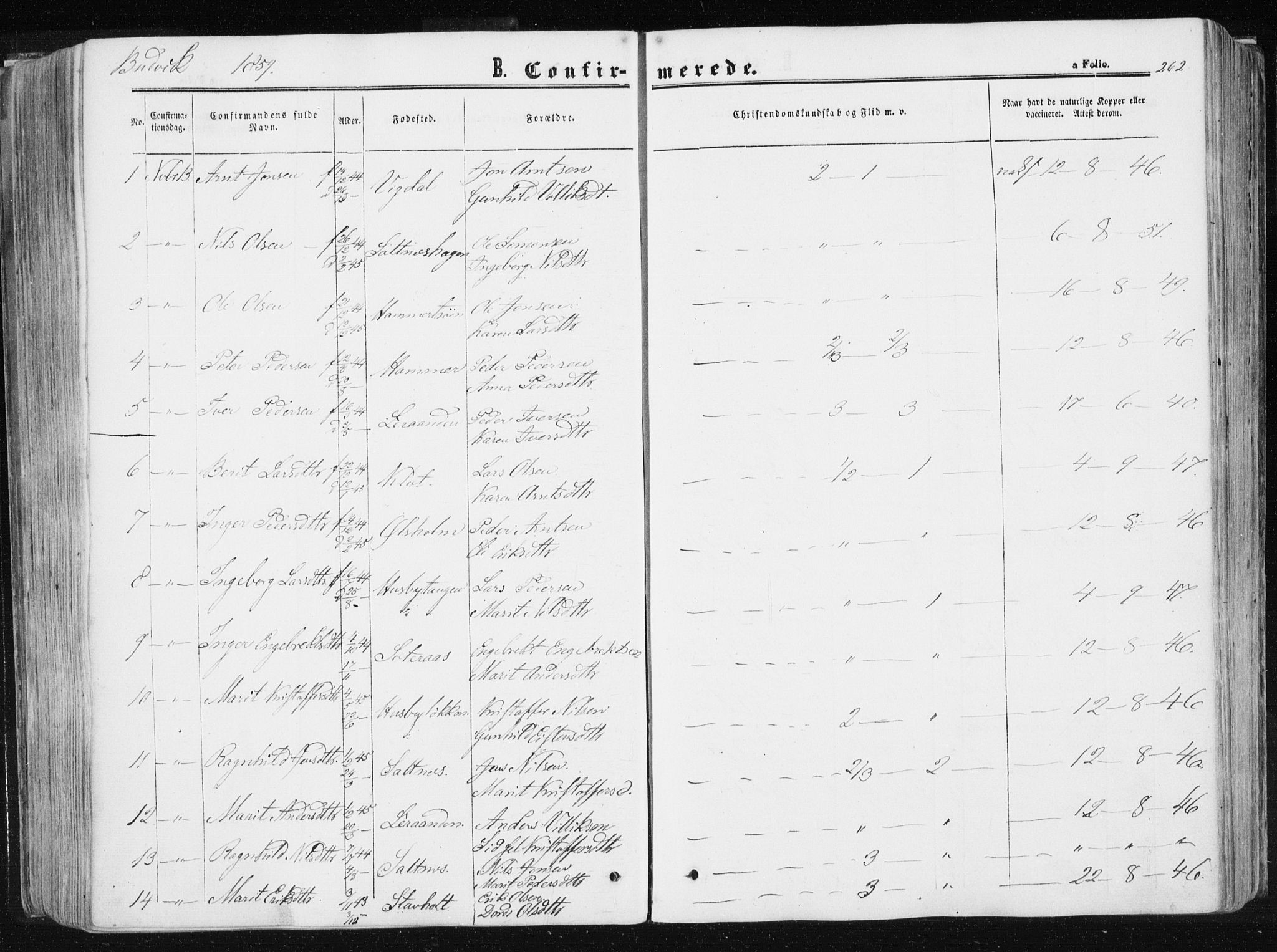 Ministerialprotokoller, klokkerbøker og fødselsregistre - Sør-Trøndelag, AV/SAT-A-1456/612/L0377: Parish register (official) no. 612A09, 1859-1877, p. 262