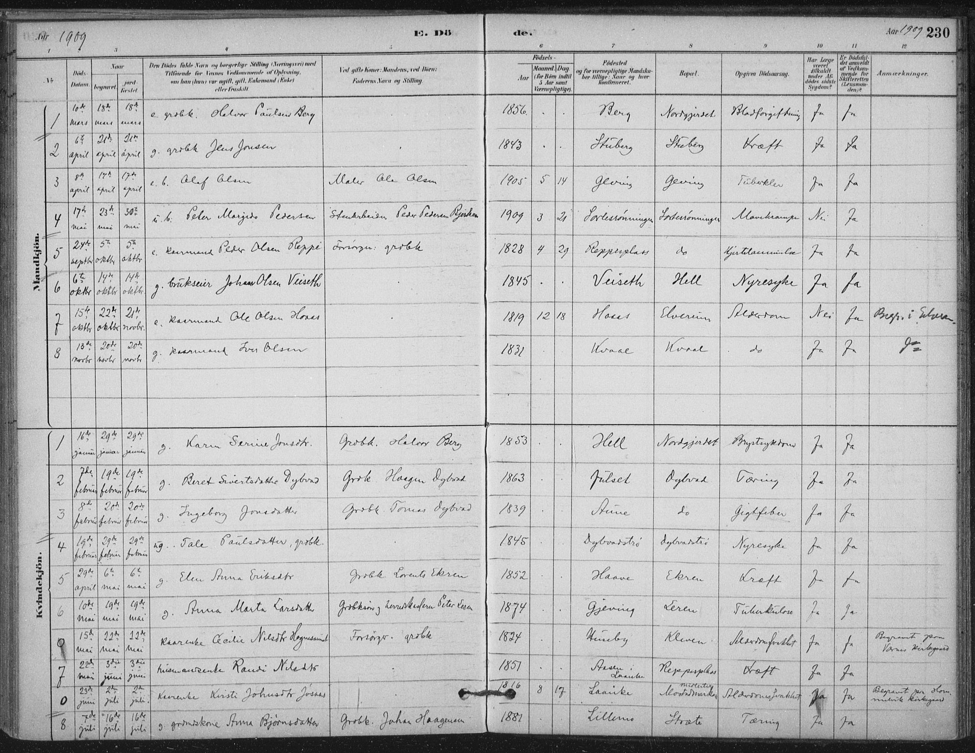 Ministerialprotokoller, klokkerbøker og fødselsregistre - Nord-Trøndelag, SAT/A-1458/710/L0095: Parish register (official) no. 710A01, 1880-1914, p. 230