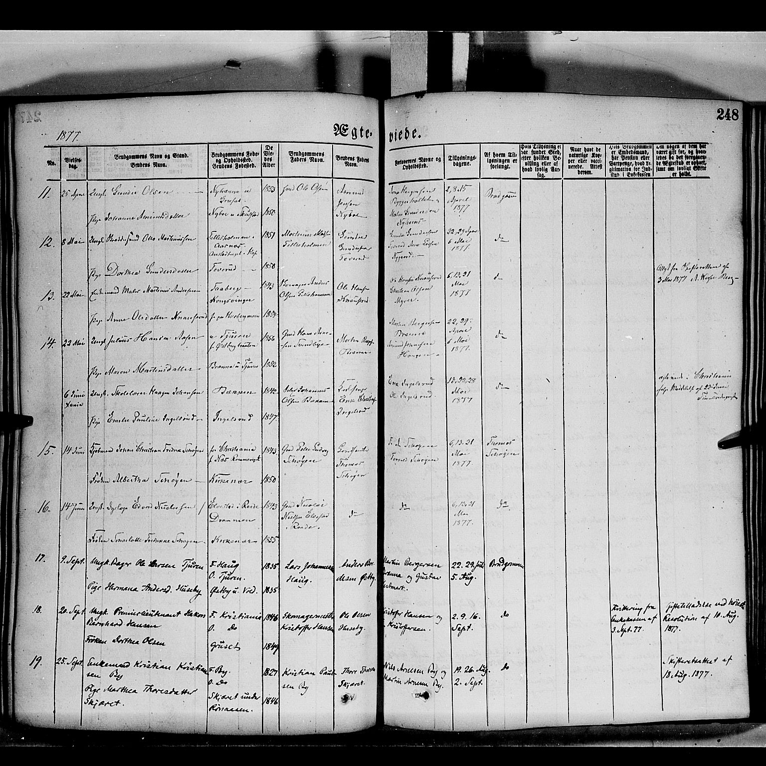 Grue prestekontor, AV/SAH-PREST-036/H/Ha/Haa/L0011: Parish register (official) no. 11, 1873-1880, p. 248