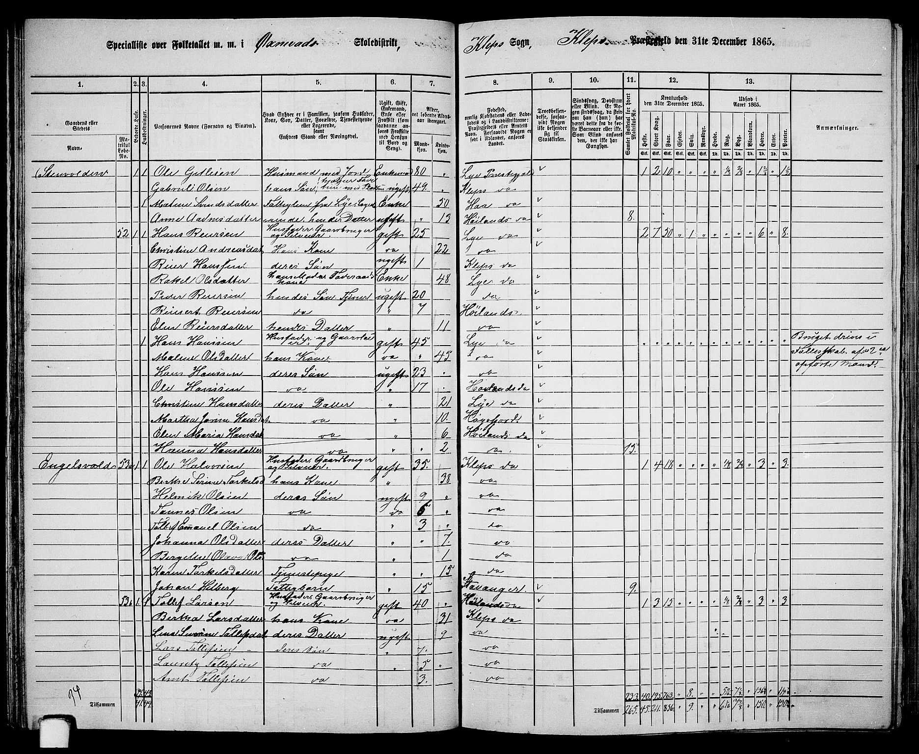 RA, 1865 census for Klepp, 1865, p. 38