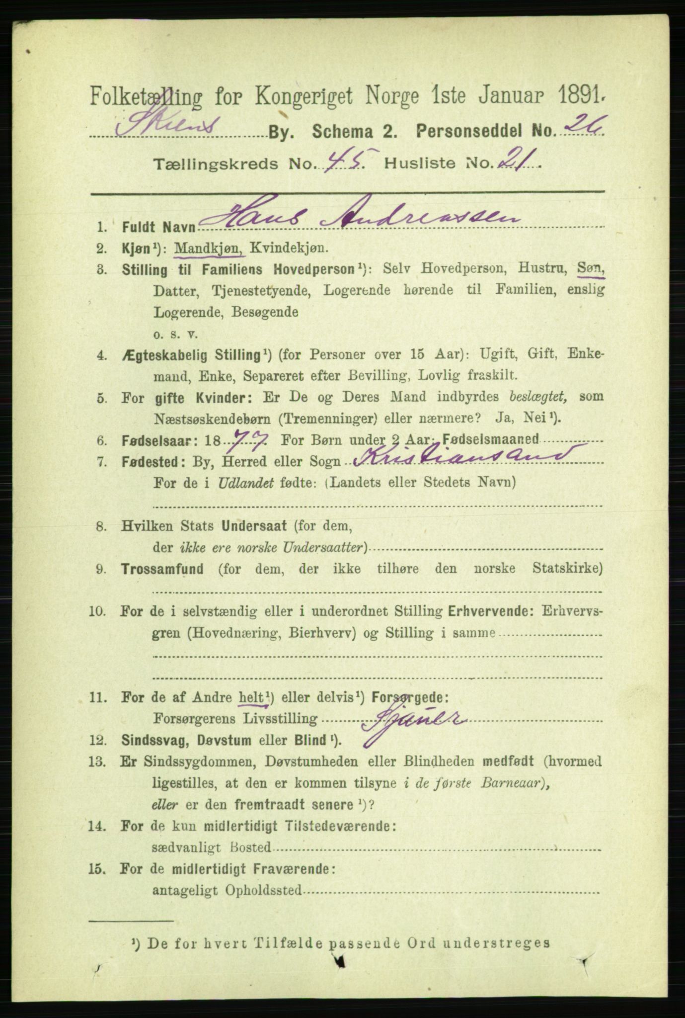 RA, 1891 census for 0806 Skien, 1891, p. 9129