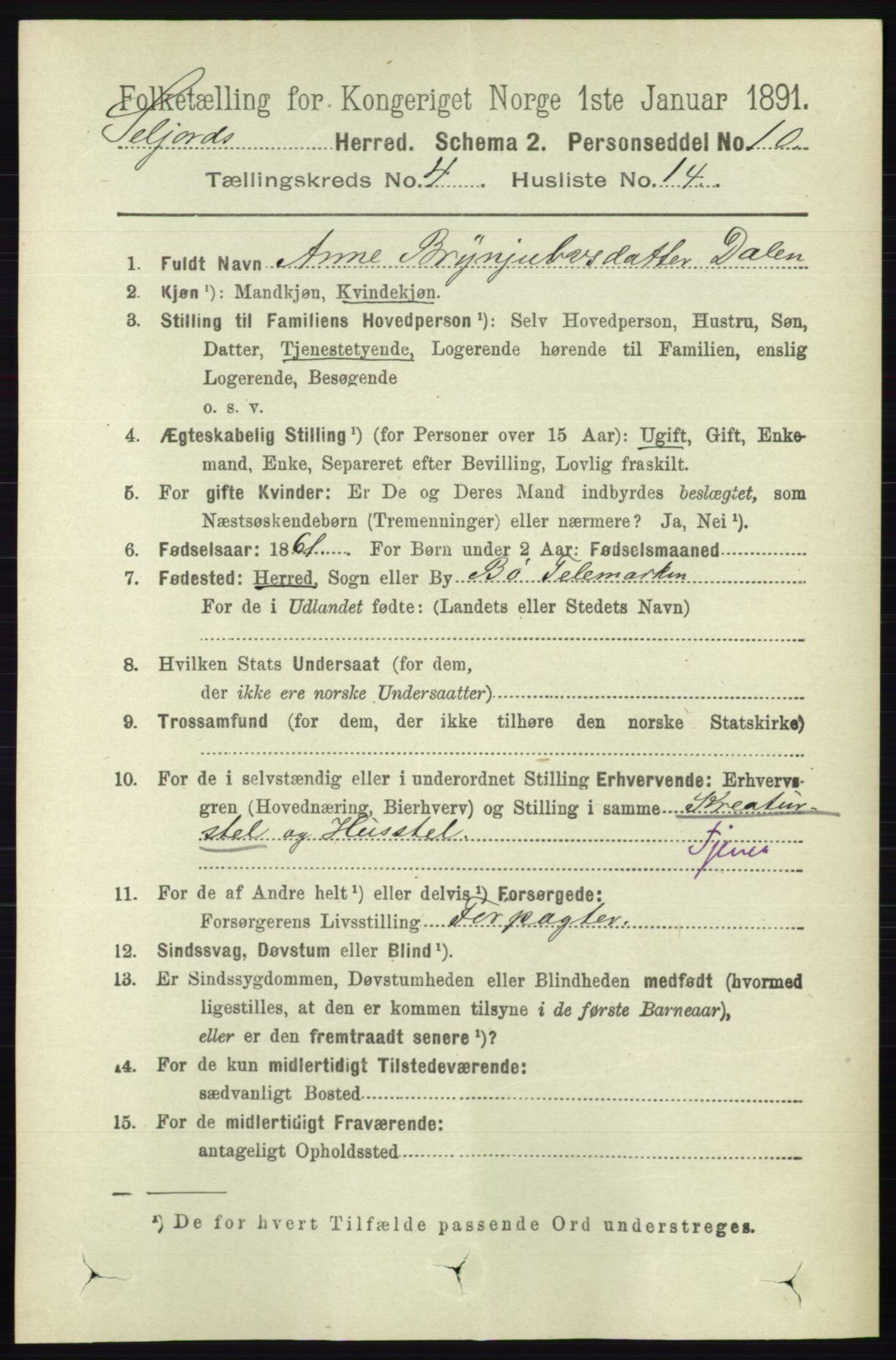 RA, 1891 census for 0828 Seljord, 1891, p. 1368