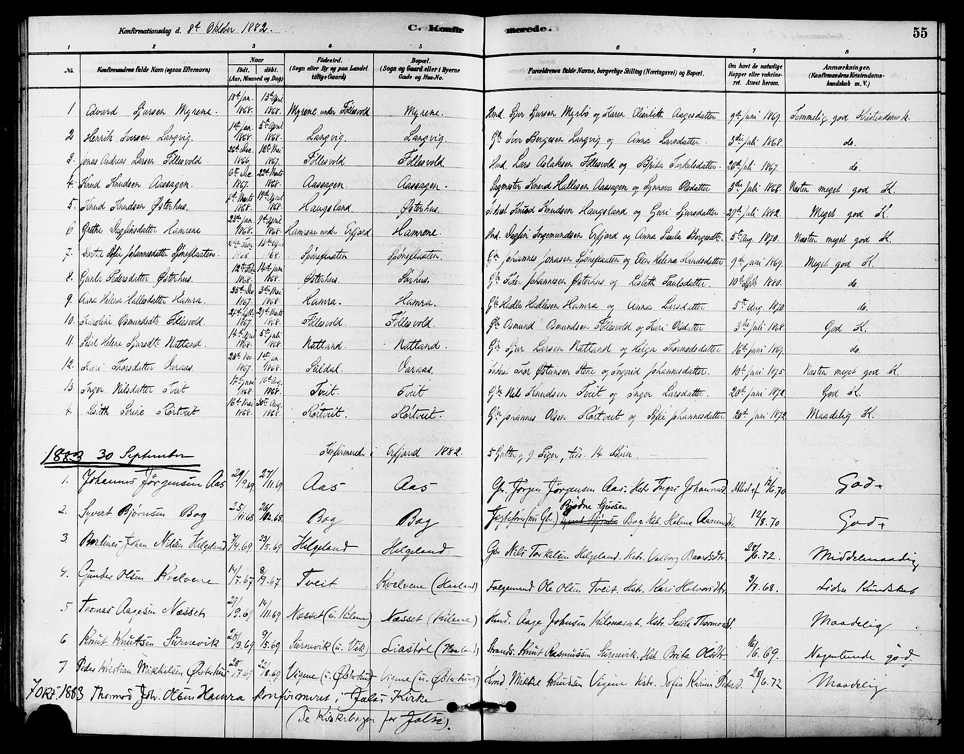 Jelsa sokneprestkontor, SAST/A-101842/01/IV: Parish register (official) no. A 9, 1878-1898, p. 55