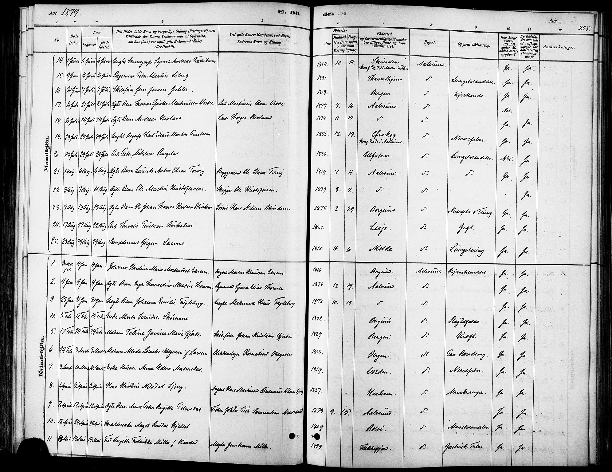 Ministerialprotokoller, klokkerbøker og fødselsregistre - Møre og Romsdal, AV/SAT-A-1454/529/L0454: Parish register (official) no. 529A04, 1878-1885, p. 255