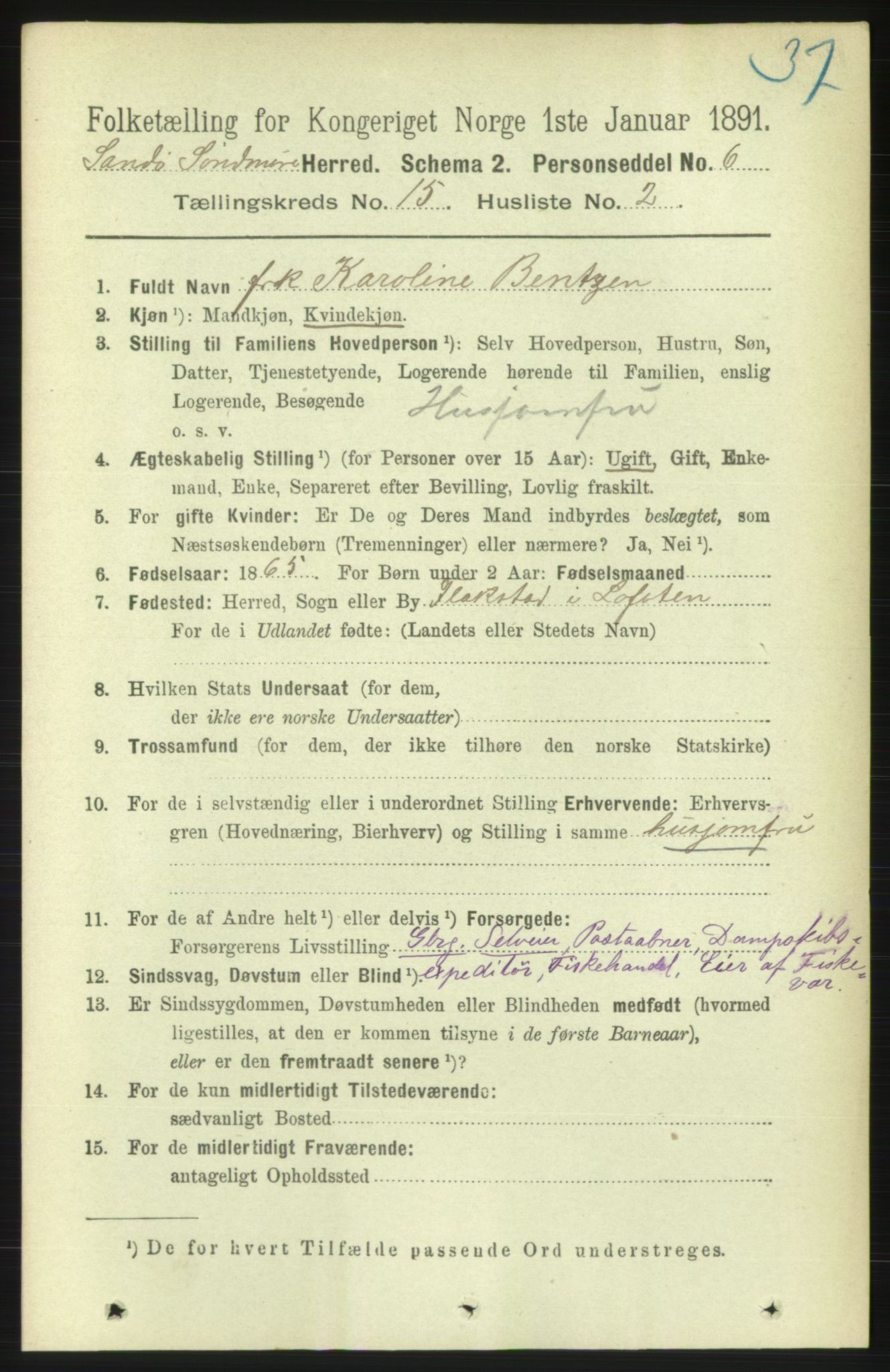 RA, 1891 census for 1514 Sande, 1891, p. 3021