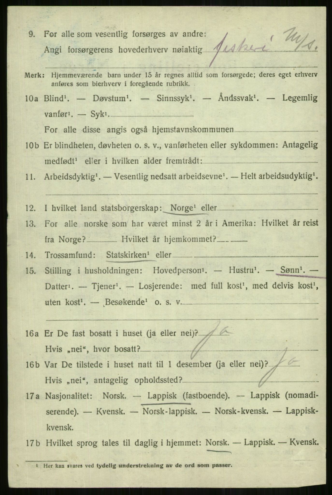 SATØ, 1920 census for Lyngen, 1920, p. 10062