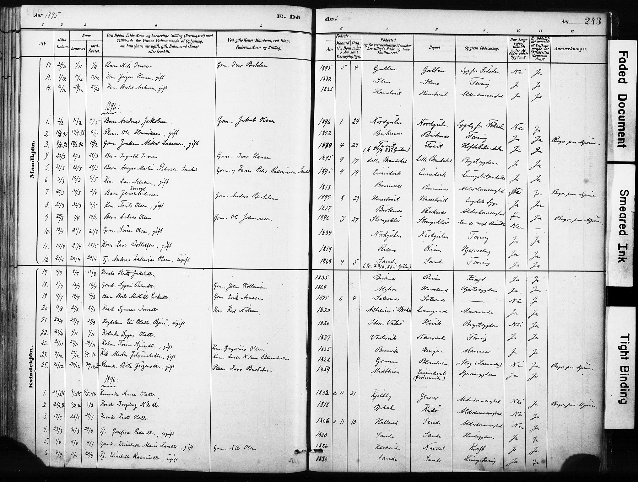 Gulen sokneprestembete, SAB/A-80201/H/Haa/Haab/L0001: Parish register (official) no. B 1, 1881-1905, p. 243