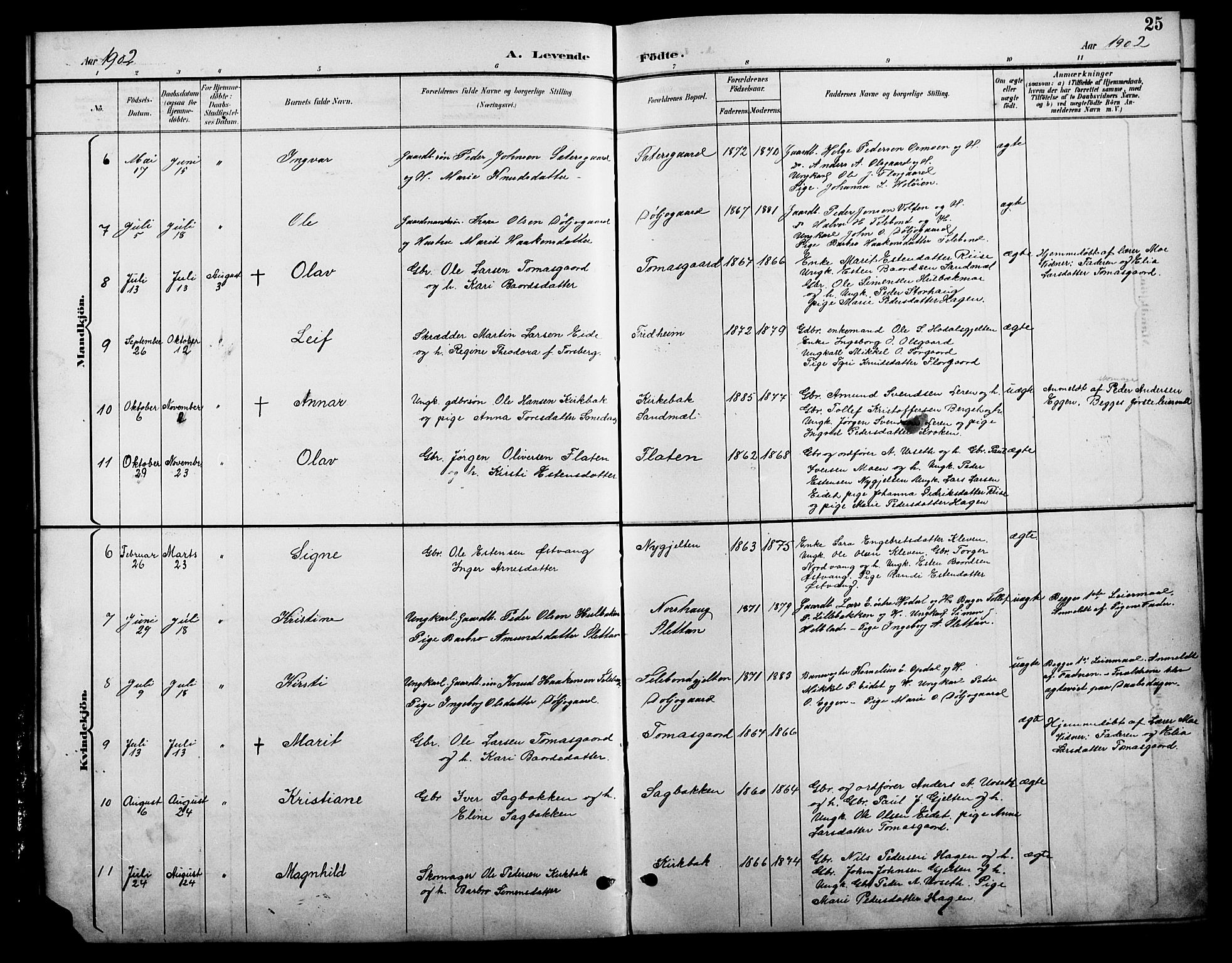 Tolga prestekontor, AV/SAH-PREST-062/L/L0009: Parish register (copy) no. 9, 1892-1919, p. 25