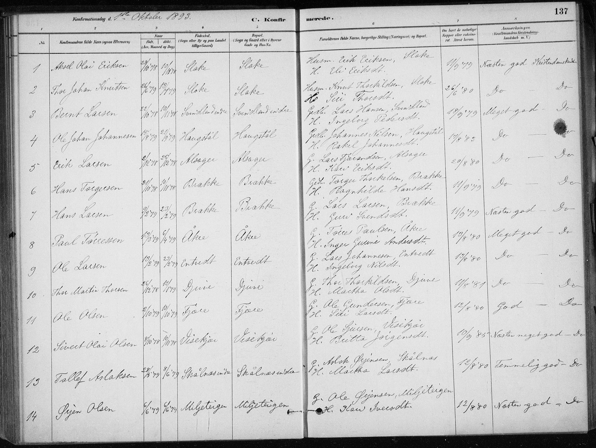 Skånevik sokneprestembete, SAB/A-77801/H/Haa: Parish register (official) no. E  1, 1879-1901, p. 137
