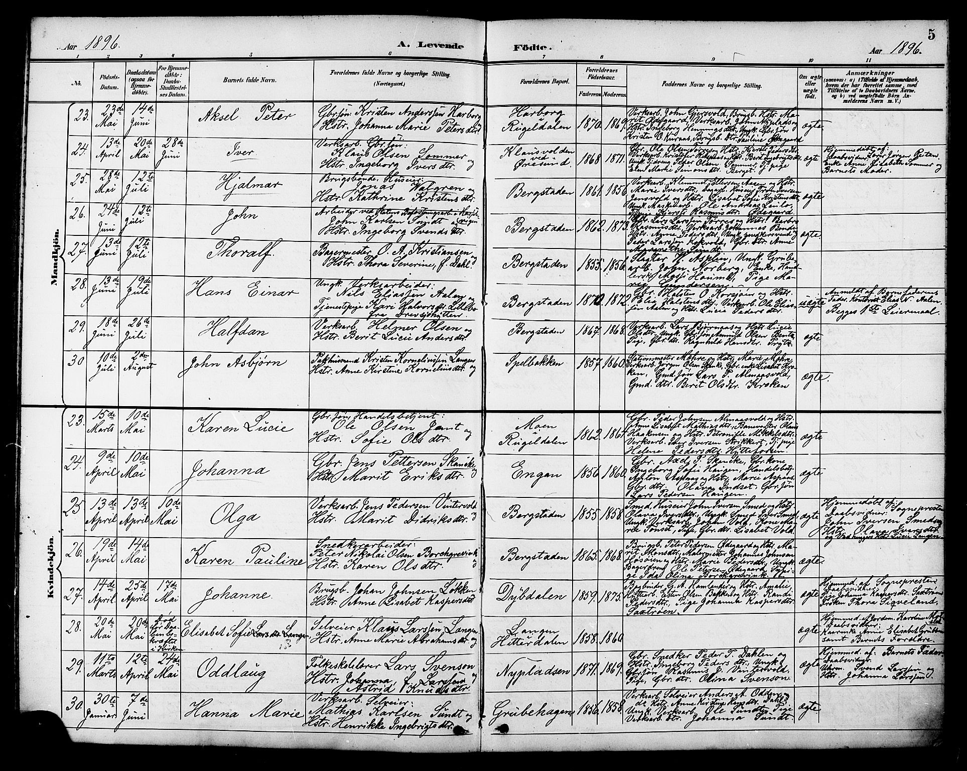 Ministerialprotokoller, klokkerbøker og fødselsregistre - Sør-Trøndelag, AV/SAT-A-1456/681/L0941: Parish register (copy) no. 681C05, 1896-1905, p. 5