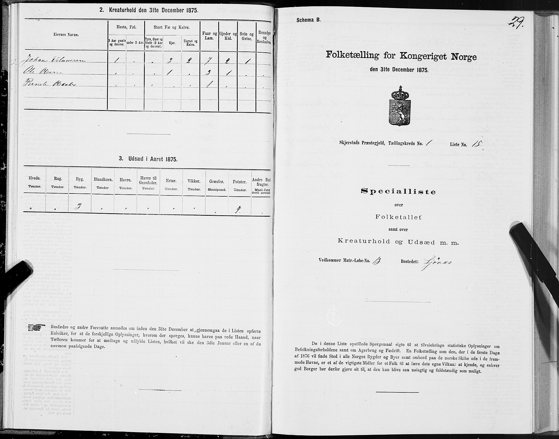 SAT, 1875 census for 1842P Skjerstad, 1875, p. 1029