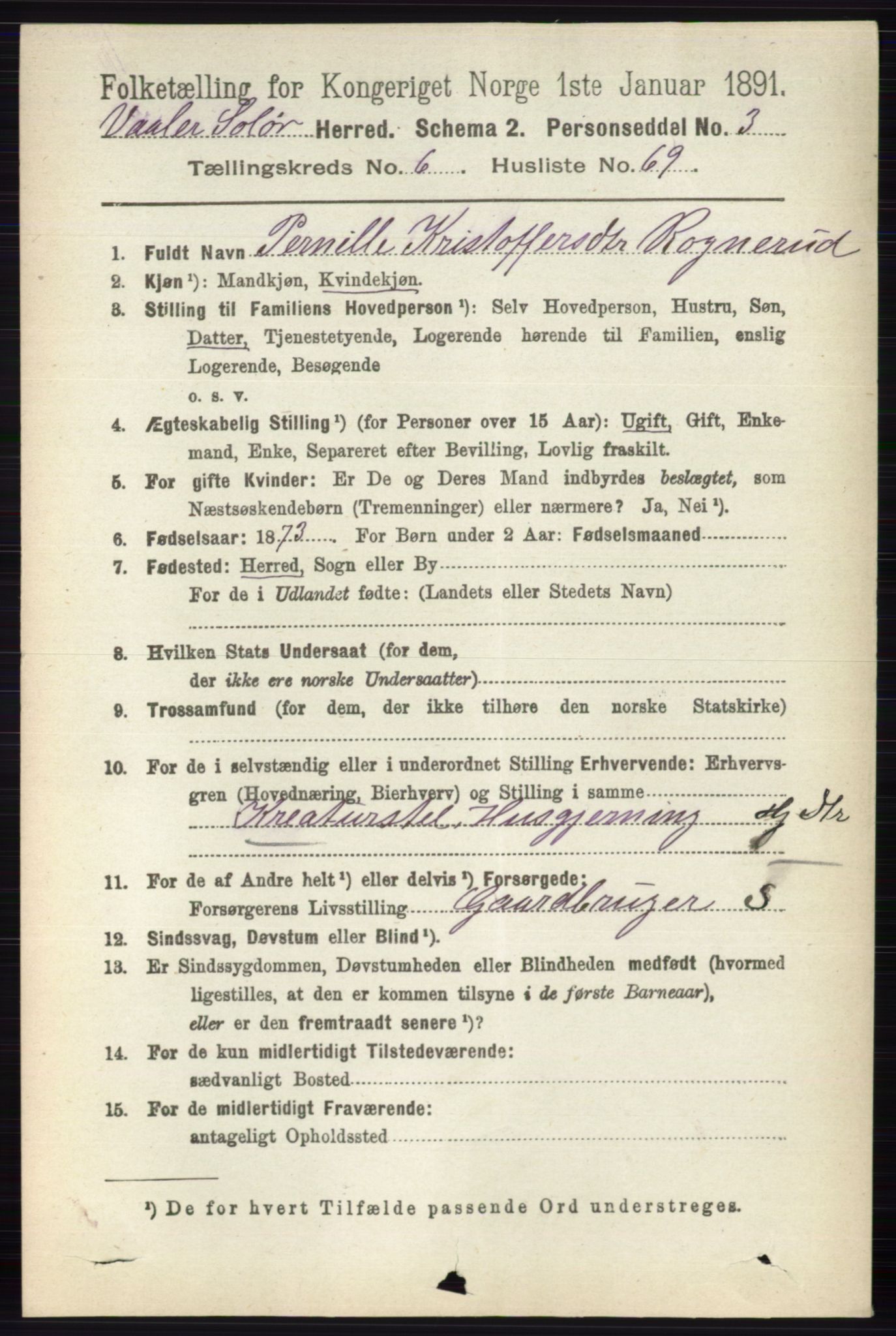 RA, 1891 census for 0426 Våler, 1891, p. 2864