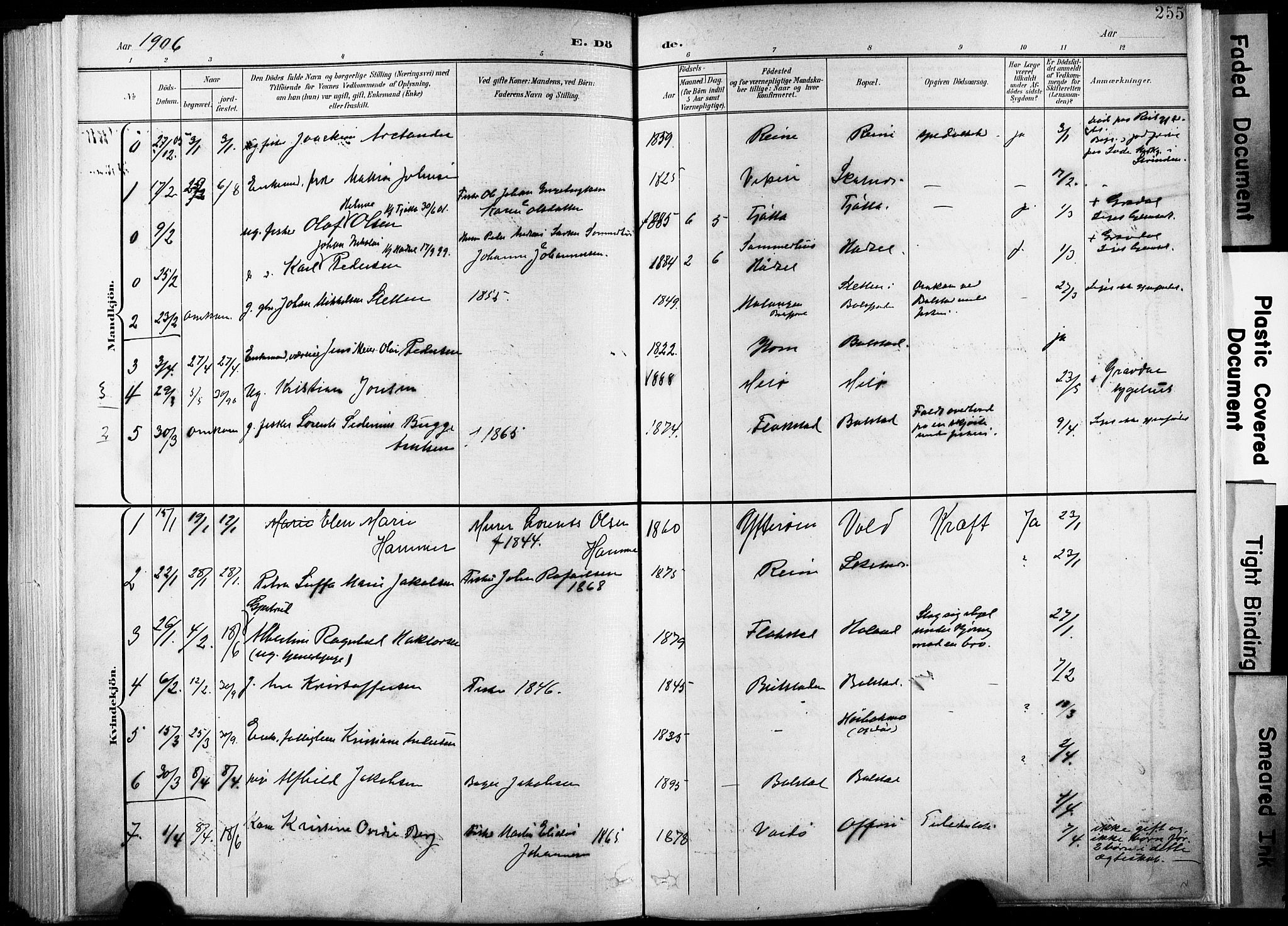 Ministerialprotokoller, klokkerbøker og fødselsregistre - Nordland, AV/SAT-A-1459/881/L1151: Parish register (official) no. 881A04, 1899-1907, p. 255