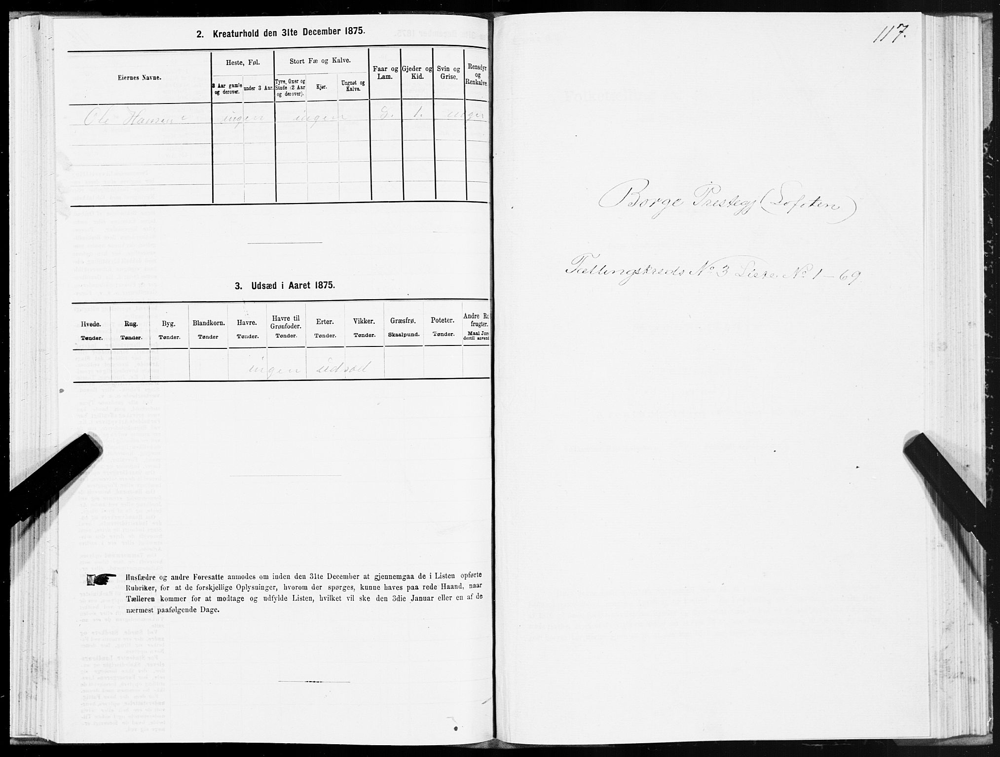 SAT, 1875 census for 1862P Borge, 1875, p. 2117