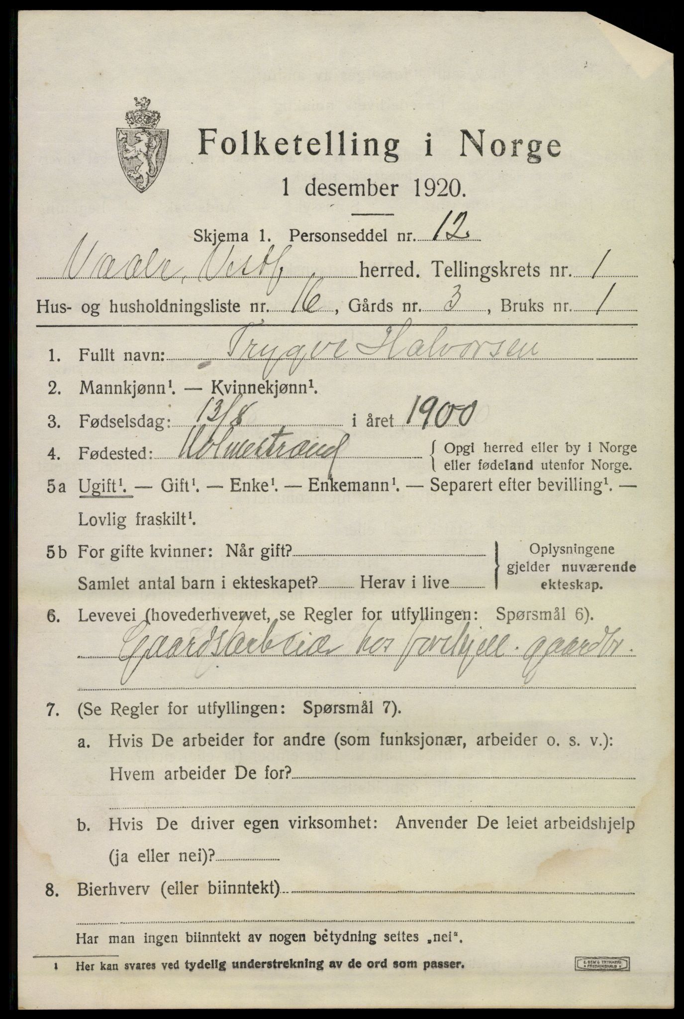 SAKO, 1920 census for Våle, 1920, p. 1256