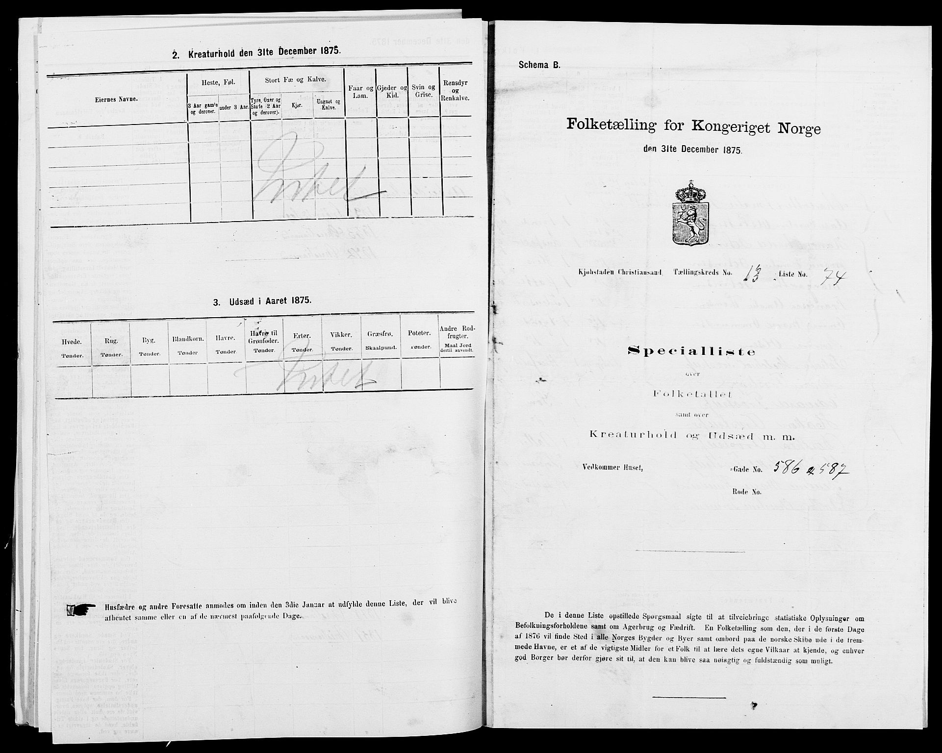 SAK, 1875 census for 1001P Kristiansand, 1875, p. 2172