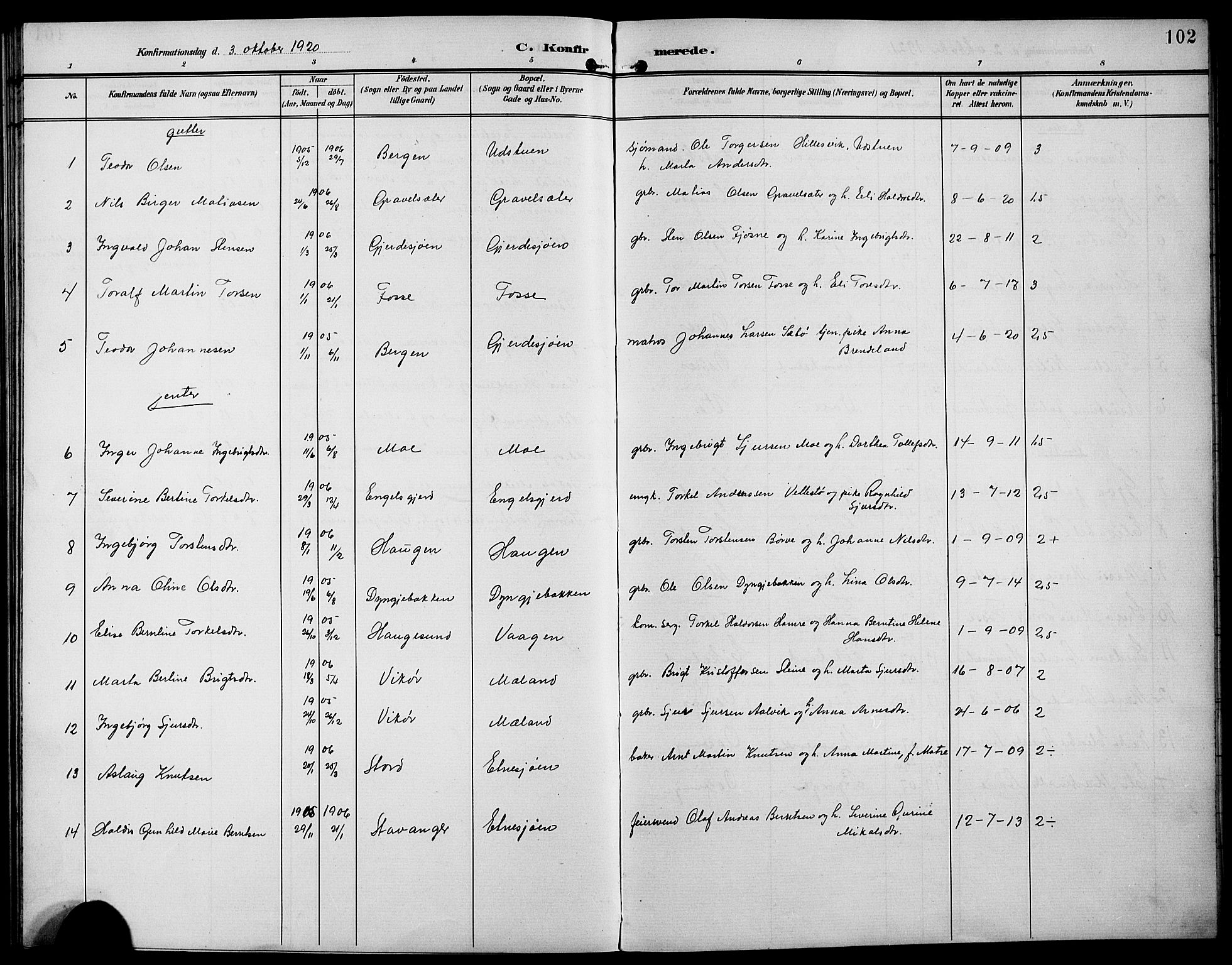Etne sokneprestembete, SAB/A-75001/H/Hab: Parish register (copy) no. B 5, 1898-1926, p. 102