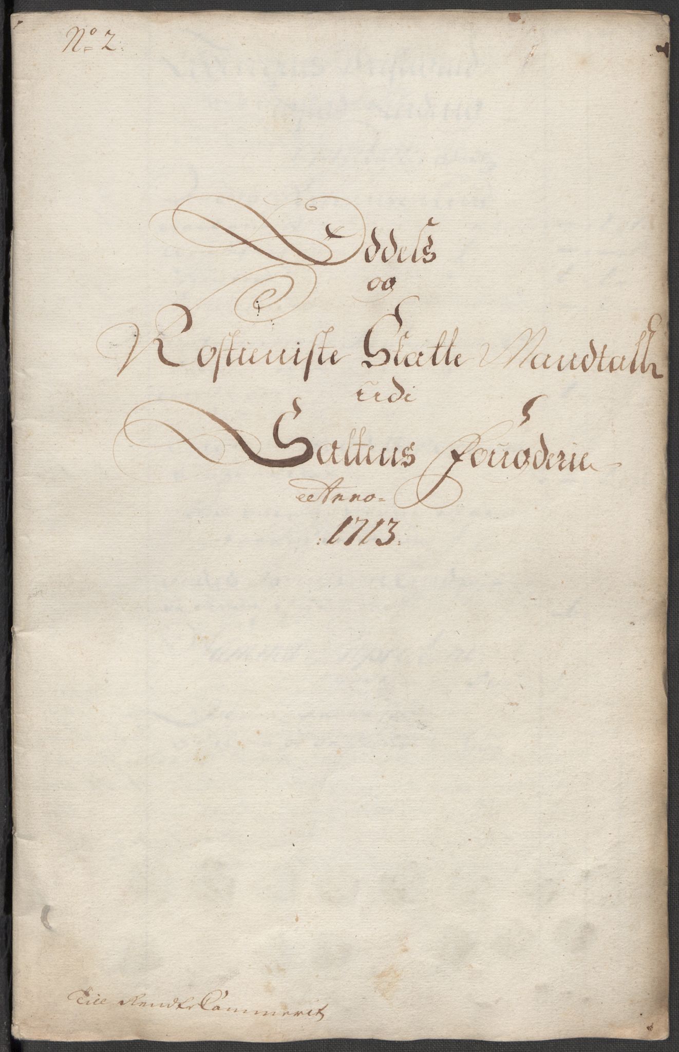 Rentekammeret inntil 1814, Reviderte regnskaper, Fogderegnskap, AV/RA-EA-4092/R66/L4583: Fogderegnskap Salten, 1713, p. 60