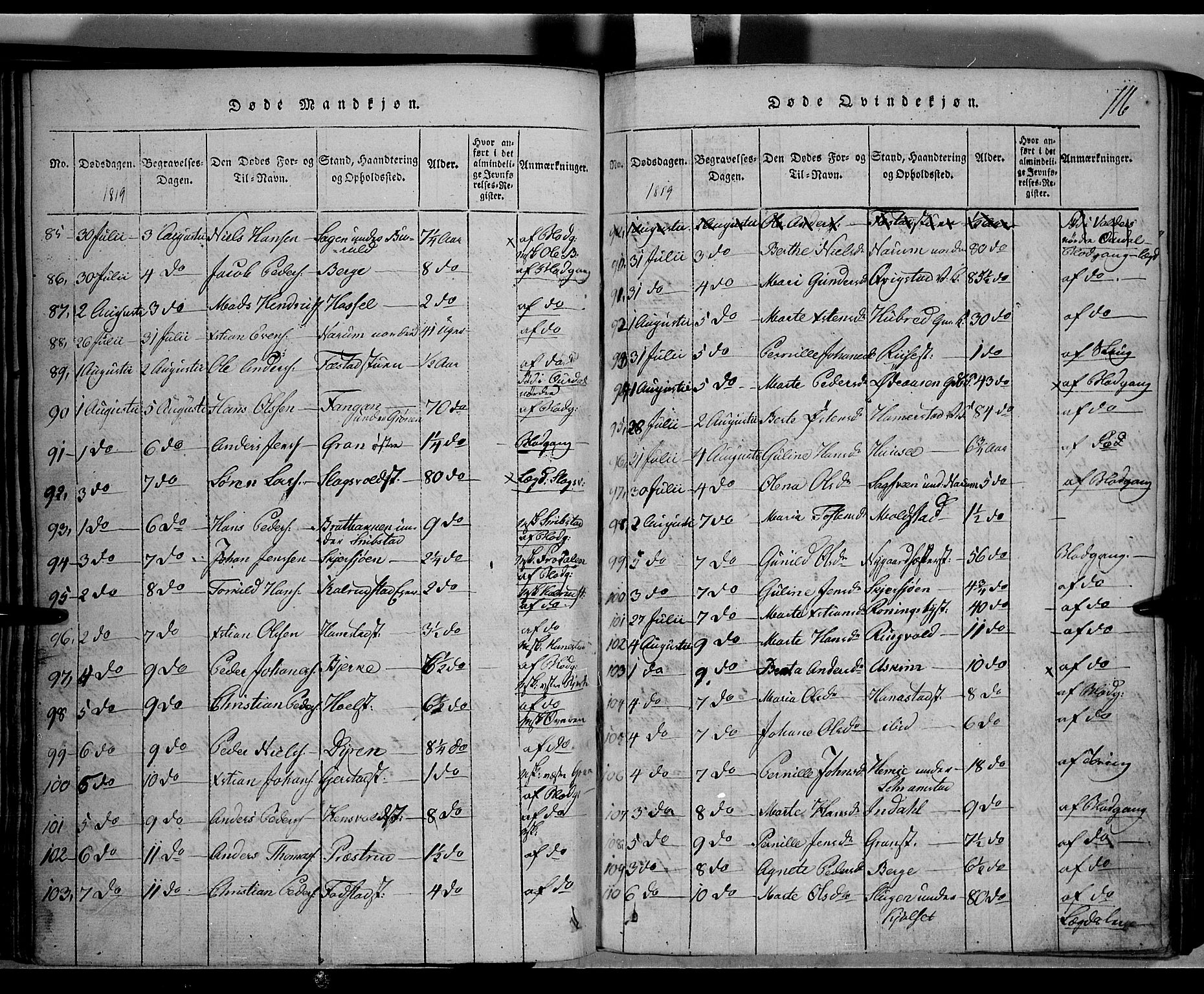Toten prestekontor, SAH/PREST-102/H/Ha/Hab/L0001: Parish register (copy) no. 1, 1814-1820, p. 116