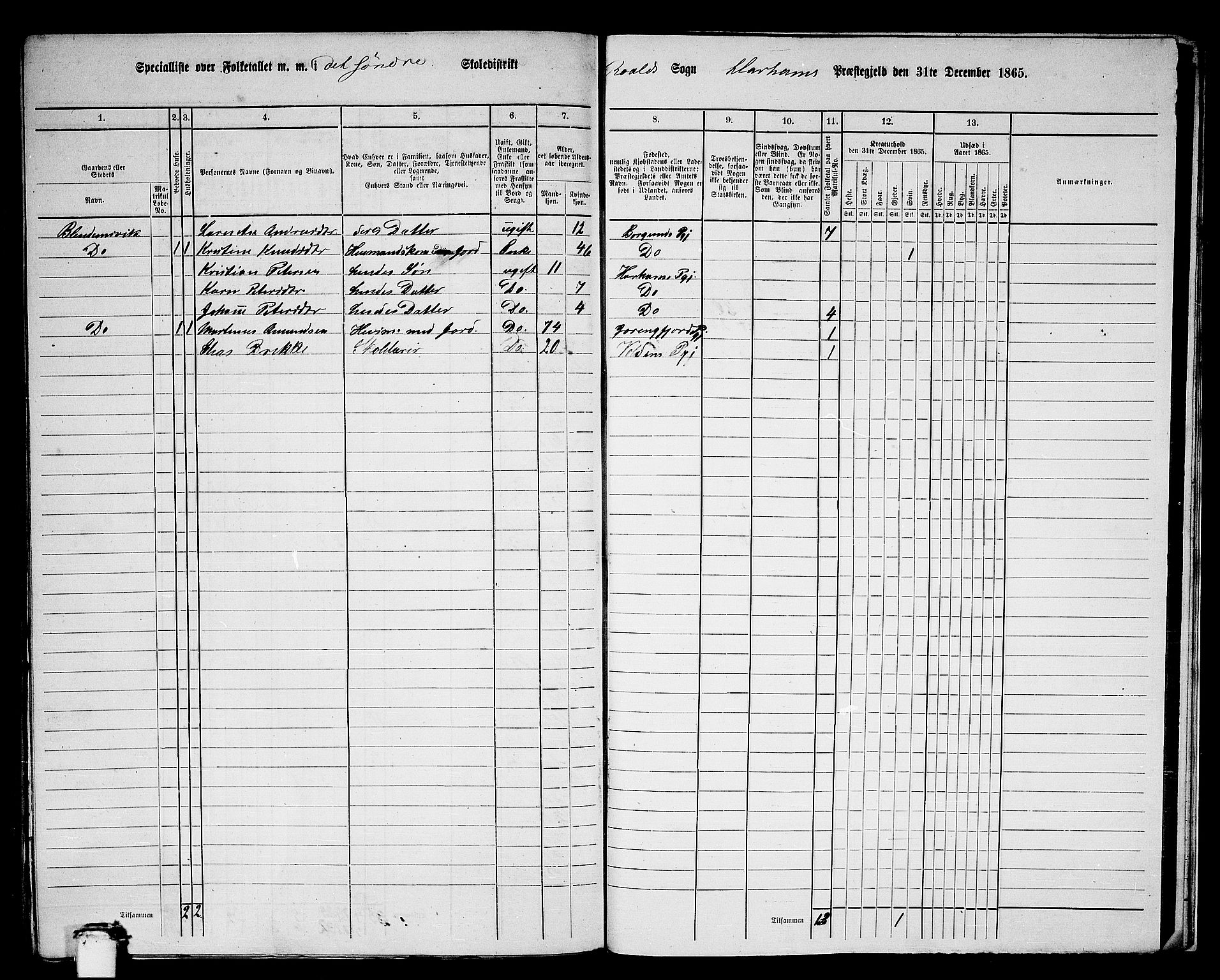 RA, 1865 census for Haram, 1865, p. 91