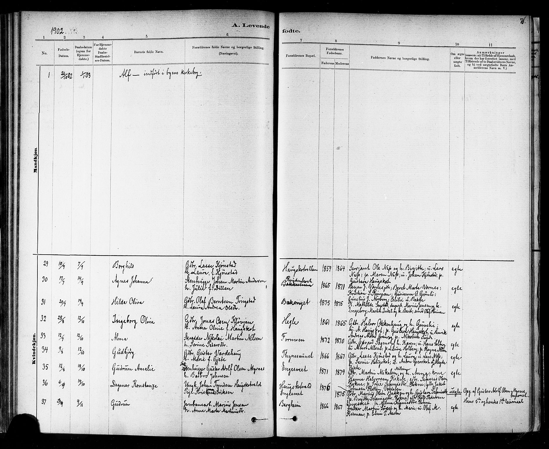 Ministerialprotokoller, klokkerbøker og fødselsregistre - Nord-Trøndelag, SAT/A-1458/721/L0208: Parish register (copy) no. 721C01, 1880-1917, p. 76