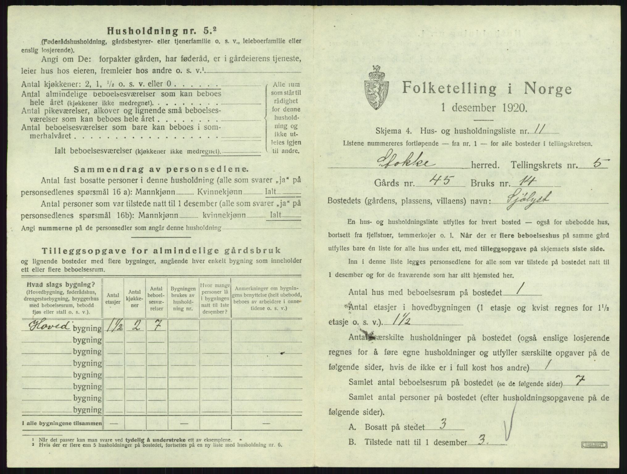 SAKO, 1920 census for Stokke, 1920, p. 1003