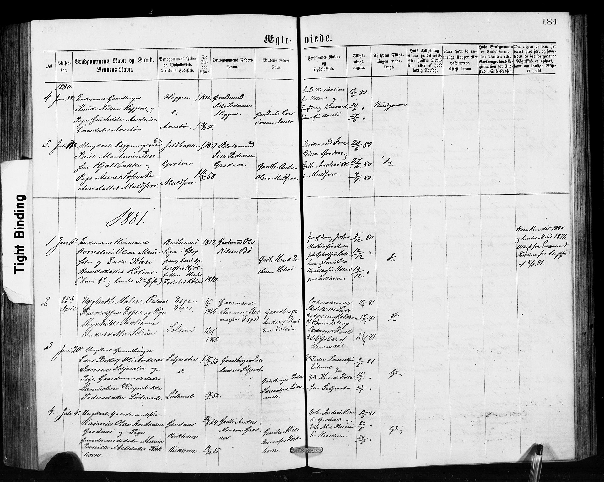 Hornindal sokneprestembete, SAB/A-82401/H/Hab: Parish register (copy) no. A 1, 1876-1894, p. 184