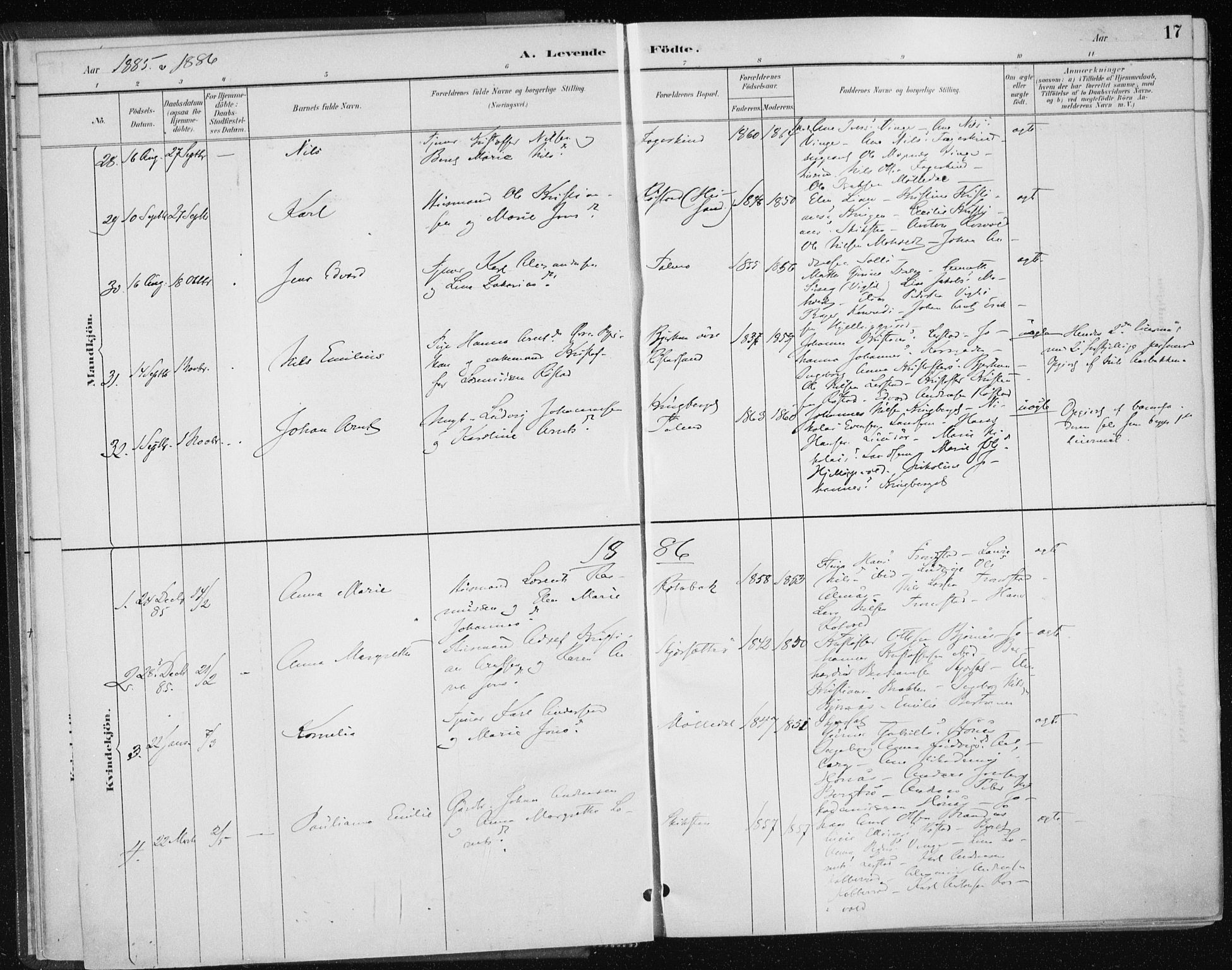 Ministerialprotokoller, klokkerbøker og fødselsregistre - Nord-Trøndelag, SAT/A-1458/701/L0010: Parish register (official) no. 701A10, 1883-1899, p. 17