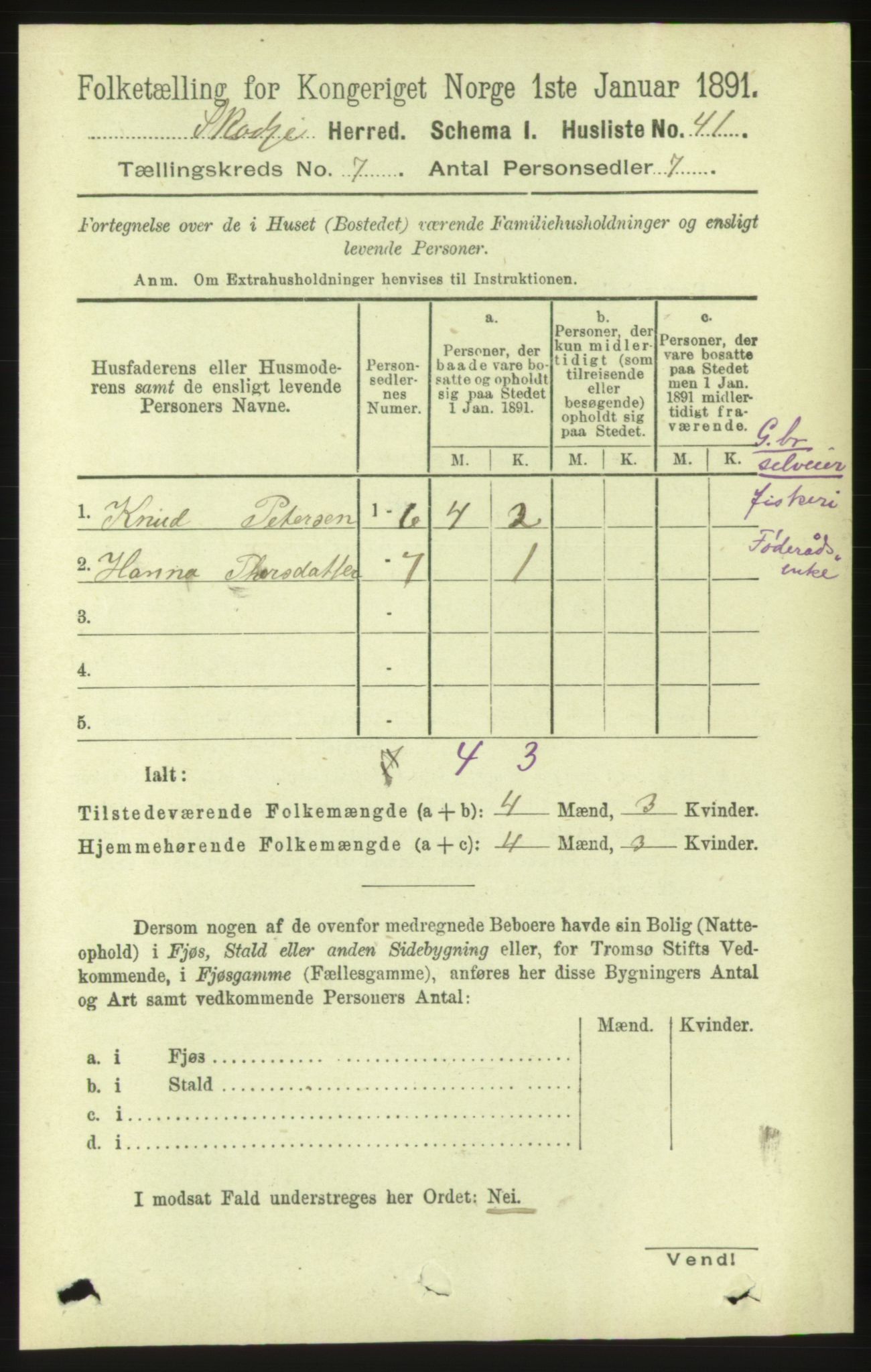 RA, 1891 census for 1529 Skodje, 1891, p. 1411