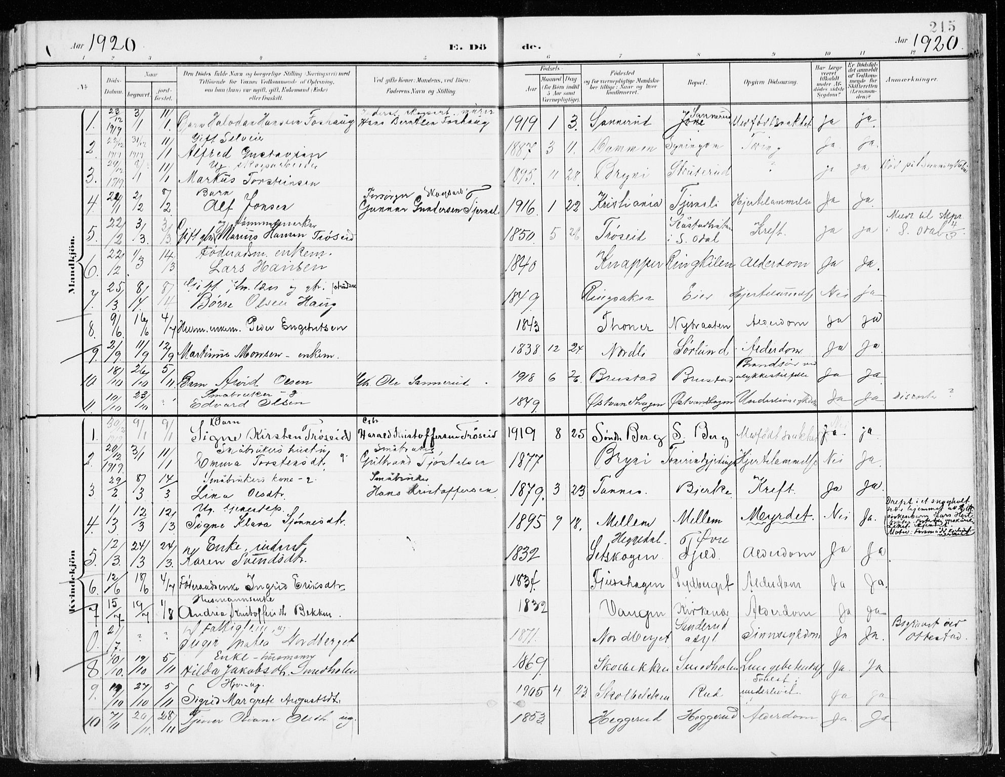Nord-Odal prestekontor, SAH/PREST-032/H/Ha/Haa/L0009: Parish register (official) no. 9, 1902-1926, p. 215