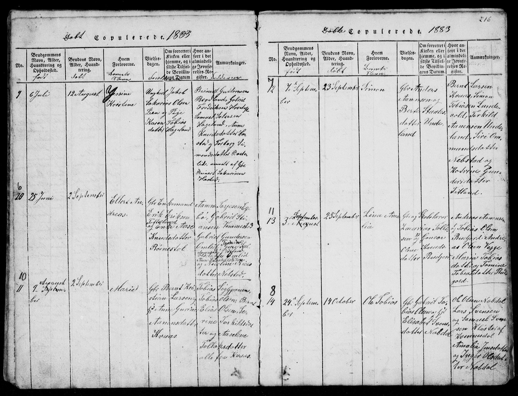 Lyngdal sokneprestkontor, AV/SAK-1111-0029/F/Fb/Fbb/L0001: Parish register (copy) no. B 1, 1816-1900, p. 216