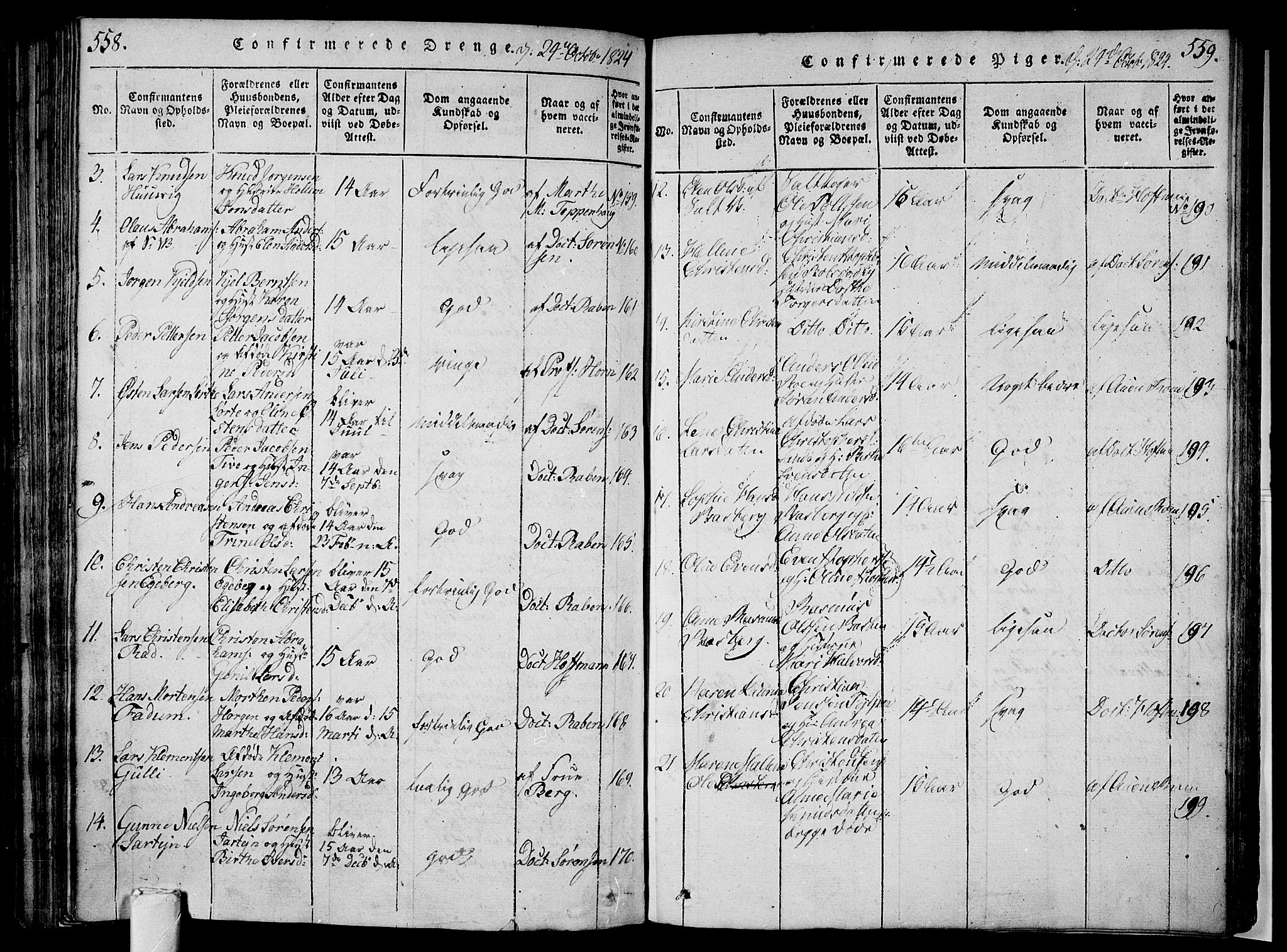 Sem kirkebøker, AV/SAKO-A-5/F/Fa/L0004: Parish register (official) no. I 4, 1814-1825, p. 558-559