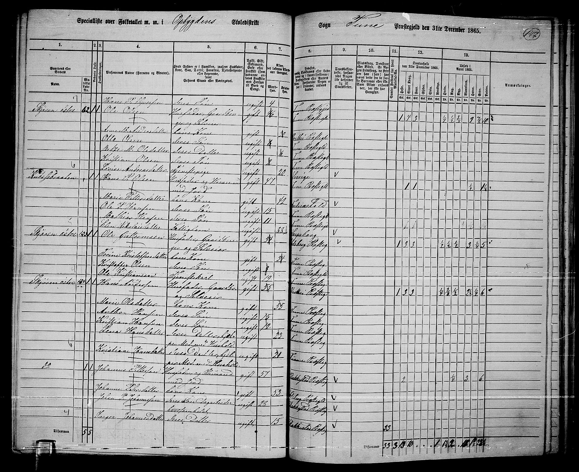 RA, 1865 census for Tune, 1865, p. 229