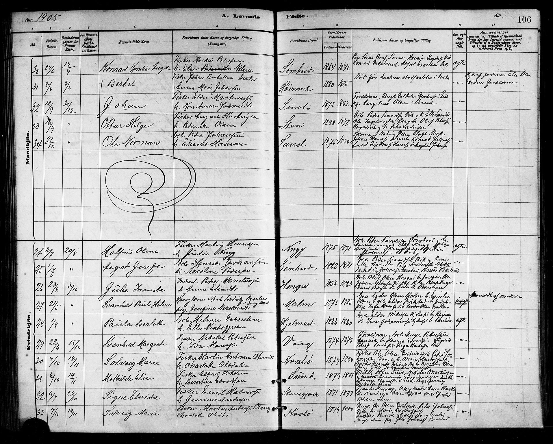 Ministerialprotokoller, klokkerbøker og fødselsregistre - Nordland, SAT/A-1459/812/L0188: Parish register (copy) no. 812C06, 1884-1912, p. 106